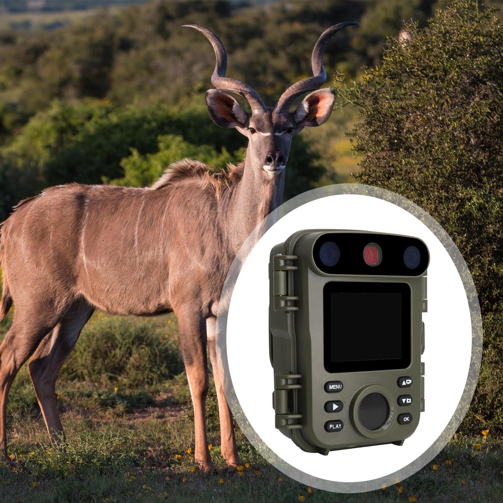 Telecamera con visione notturna per