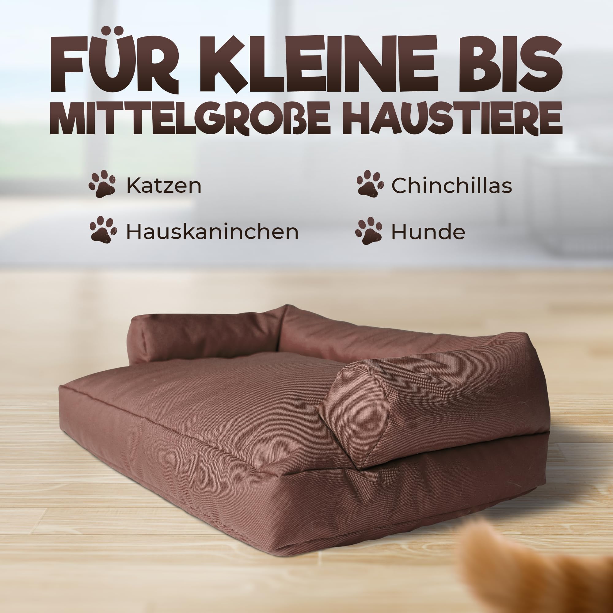 PatchHome Sofá para gatos, certificado Öko-Tex, muebles para gatos, relleno de poliestireno reciclado, accesorio para gatos, fabricado en Alemania, 50 x 40 x 15 cm, color marrón