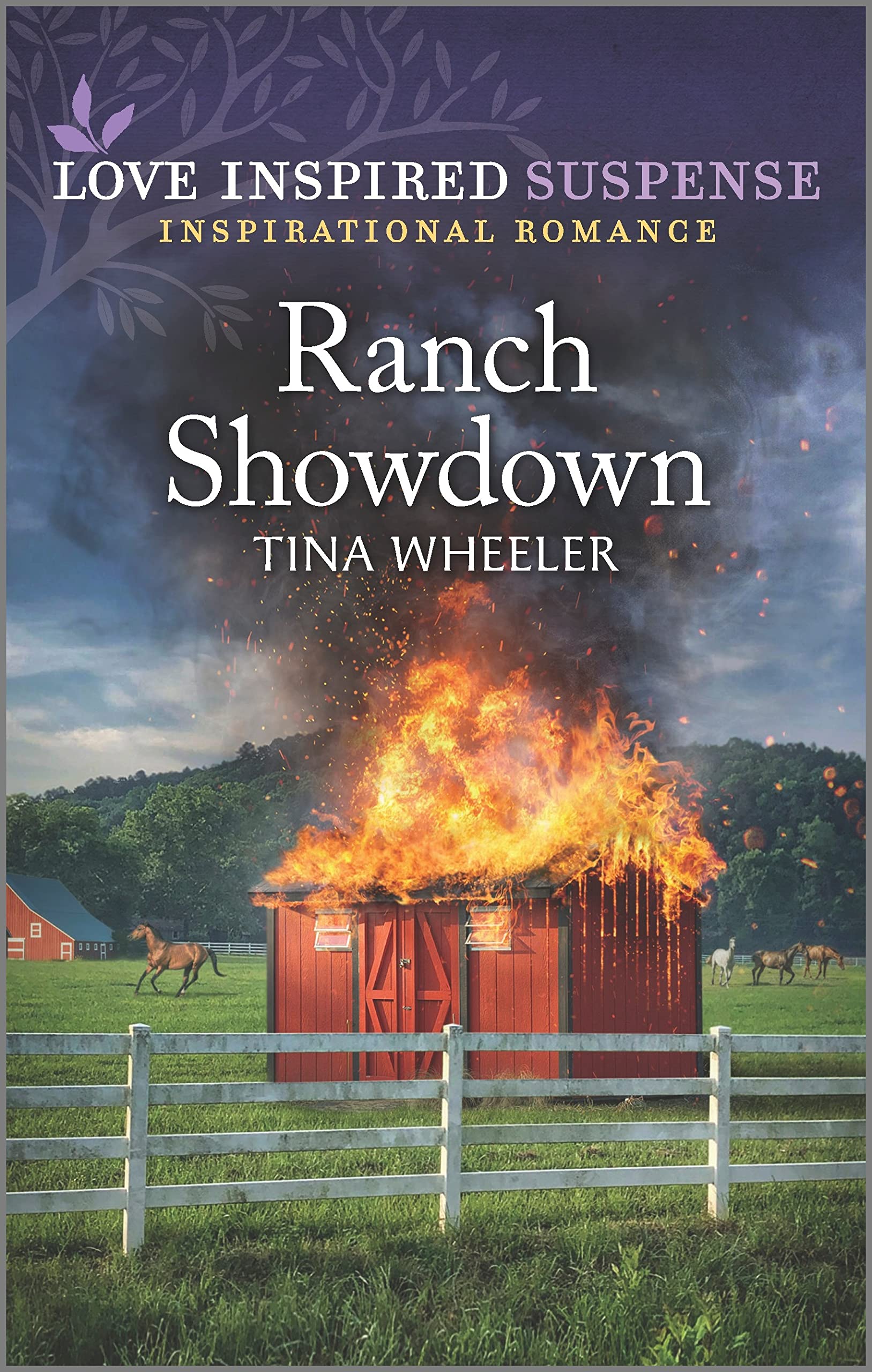 Ranch Showdown: A Reunion Inspirational Suspense Romance