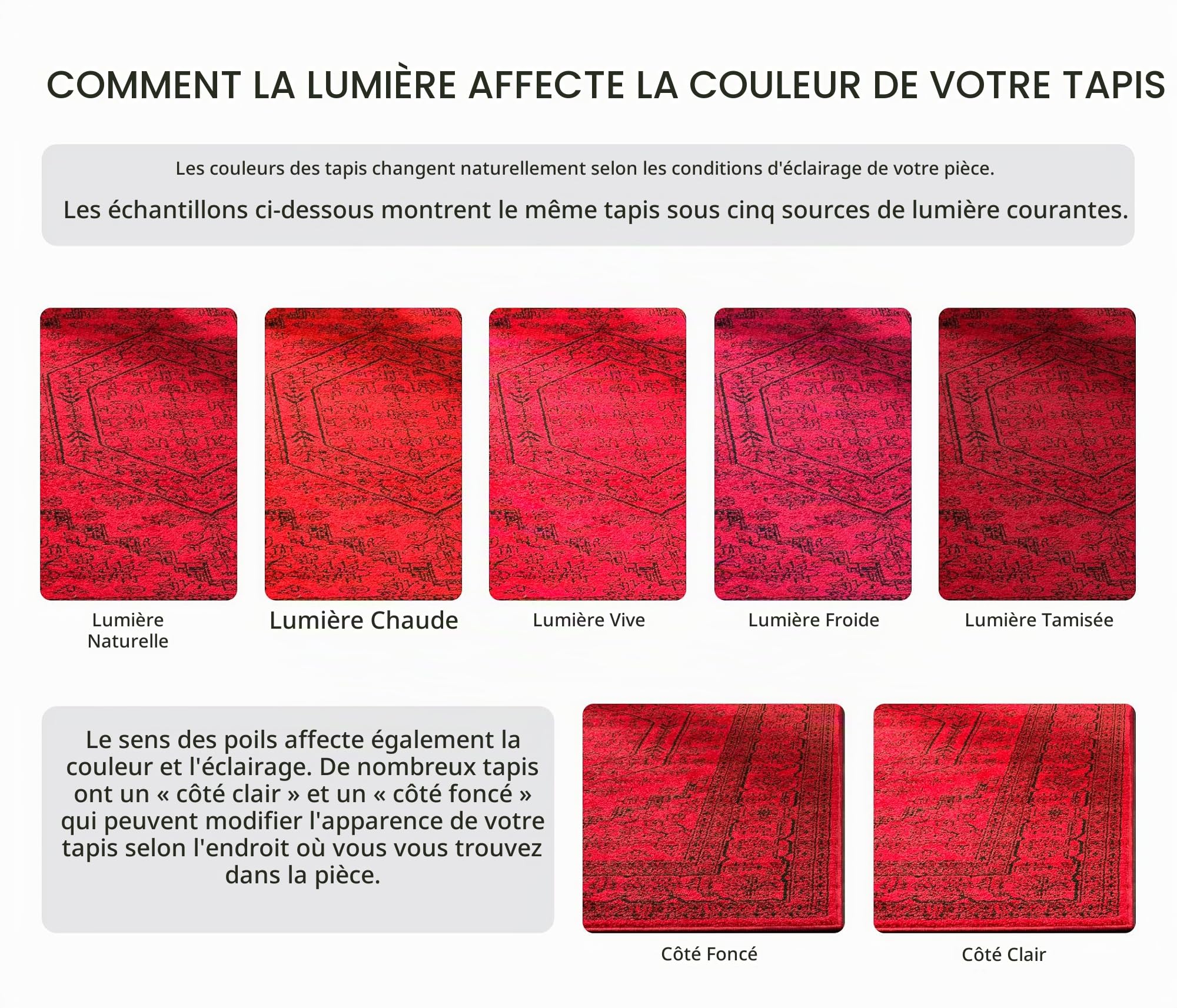 SAFAVIEH Tapis 183 x 274 cm - Adirondack Collection - Design Traditionnel, Rouge & Noir, Mélange Synthétique Entretien Facile, Idéal pour Salon, Chambre, Bureau