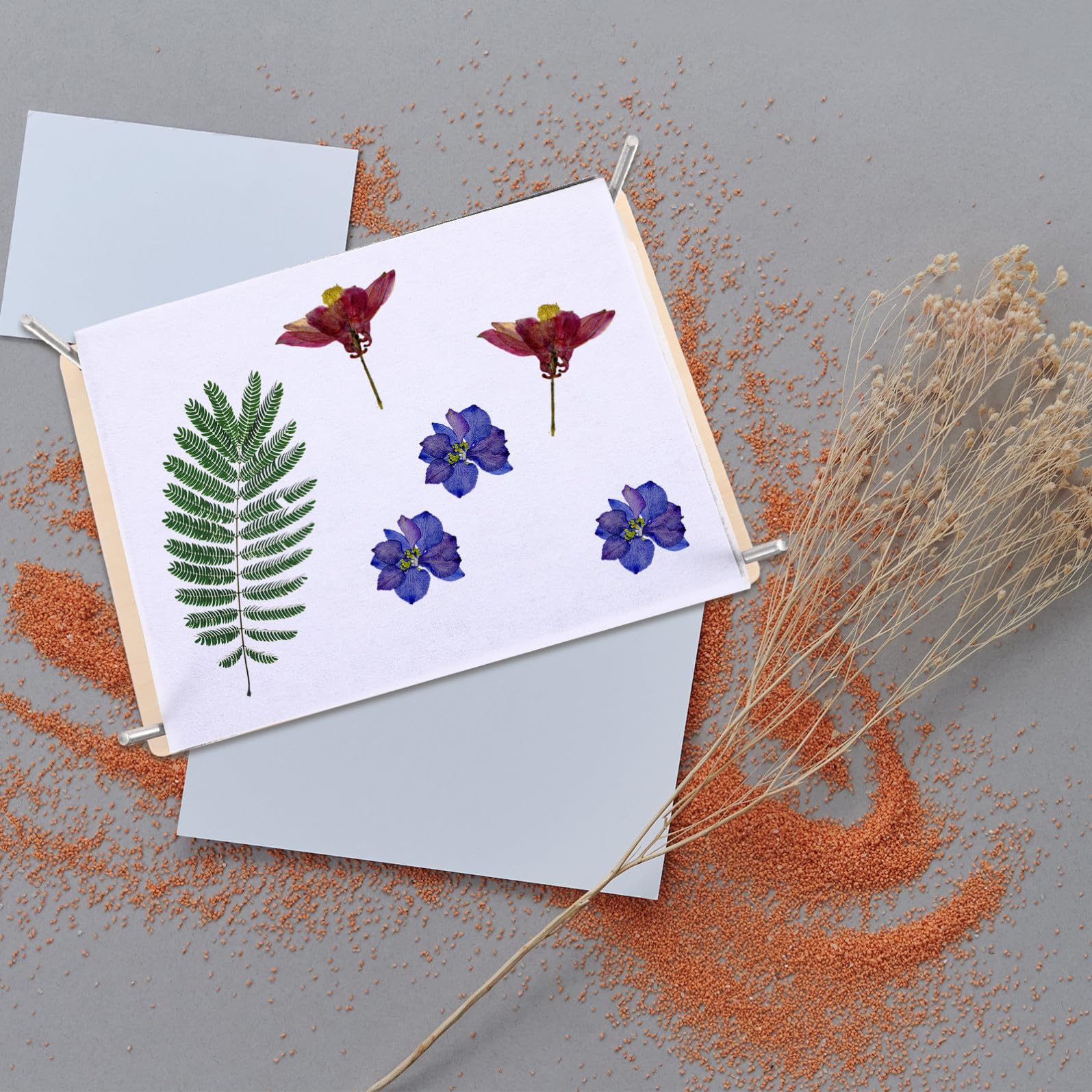 Cabilock Kit per Pressa di Fiori Fai da Te Pressatura Uniforme delle Foglie in Legno e Metallo, Set Completo per Specimen di Piante per Ragazzi e Attività DIY