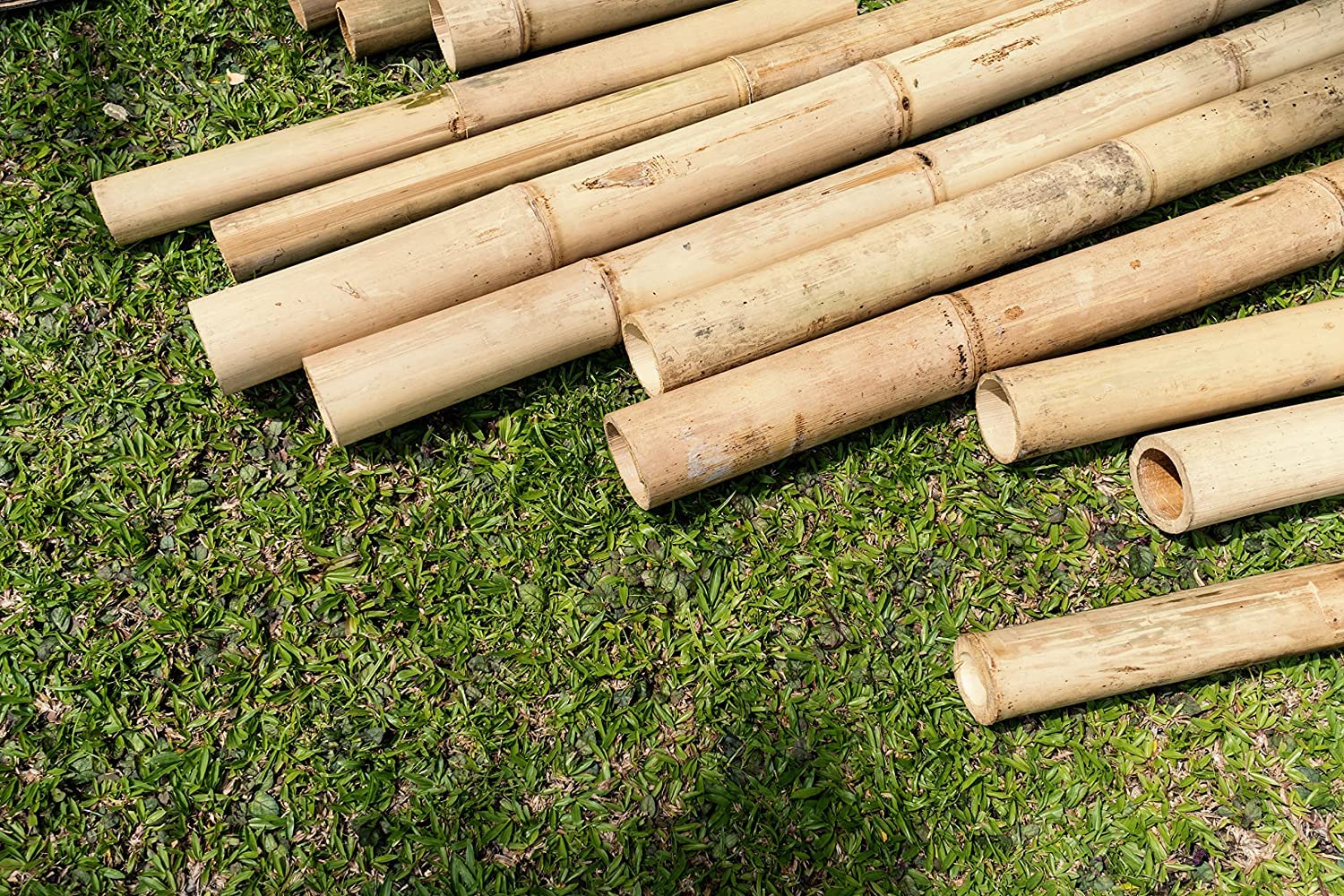 Dixiestore Pali Decorativi per Piante di Bambù Spessi - Bastoncini di Fiori 100% Naturali - Canne per Tralicci di Bambù - Supporto per Piante per Casa e Giardino - 190cm 50/60mm