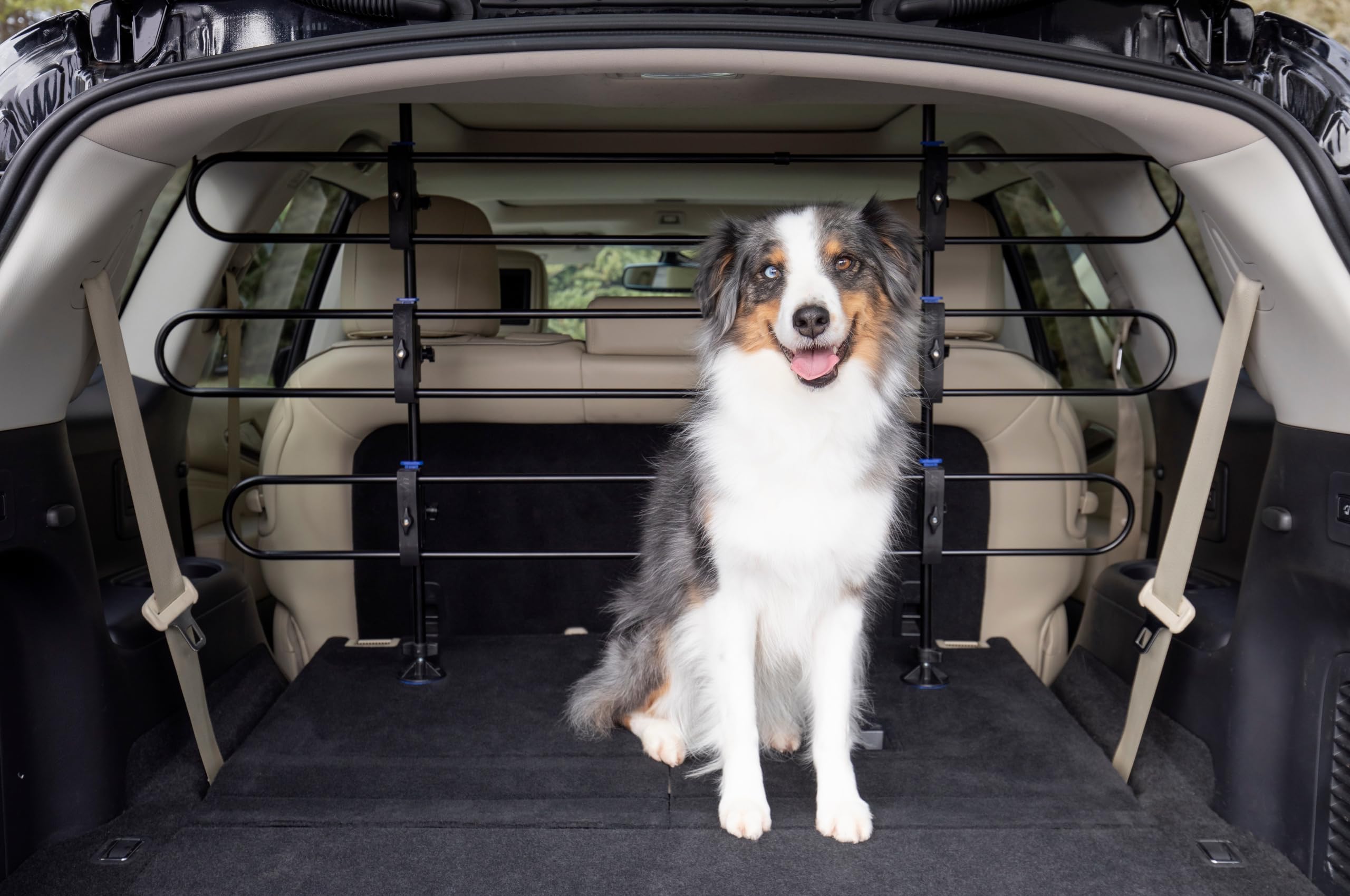 Protection en métal pour Chiens Happy Ride