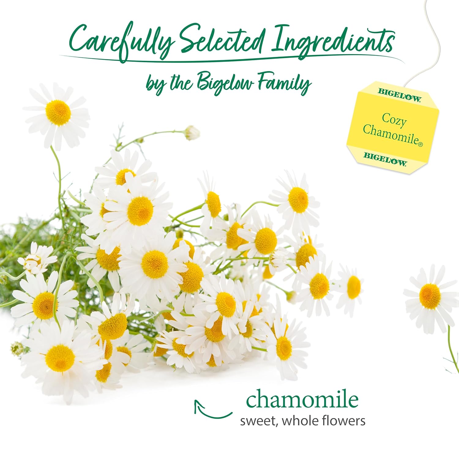 Bigelow Cozy Chamomile Herbal Tea