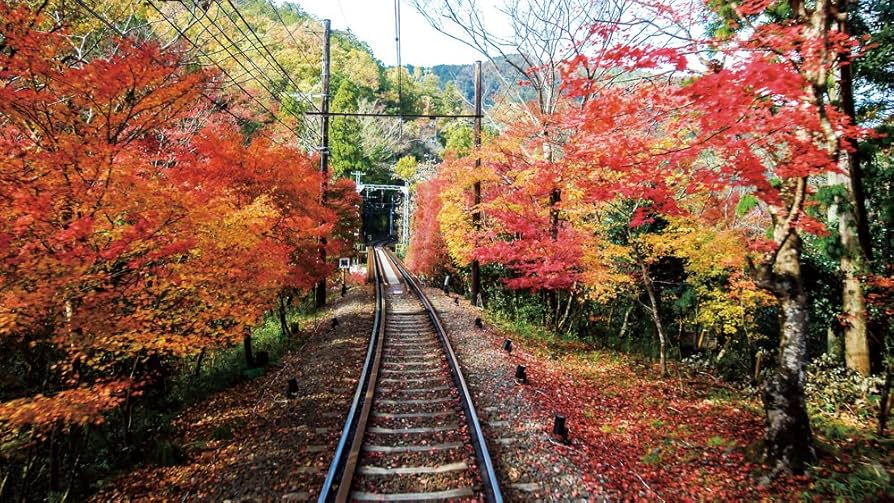 叡電 もみじのトンネルへ 展望列車きらら [Ultra HD Blu-ray] z2zed1b Amazon.co.jp: 叡電 もみじのトンネルへ【4K HDR】 展望列車
