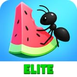 Rush Music Song Game