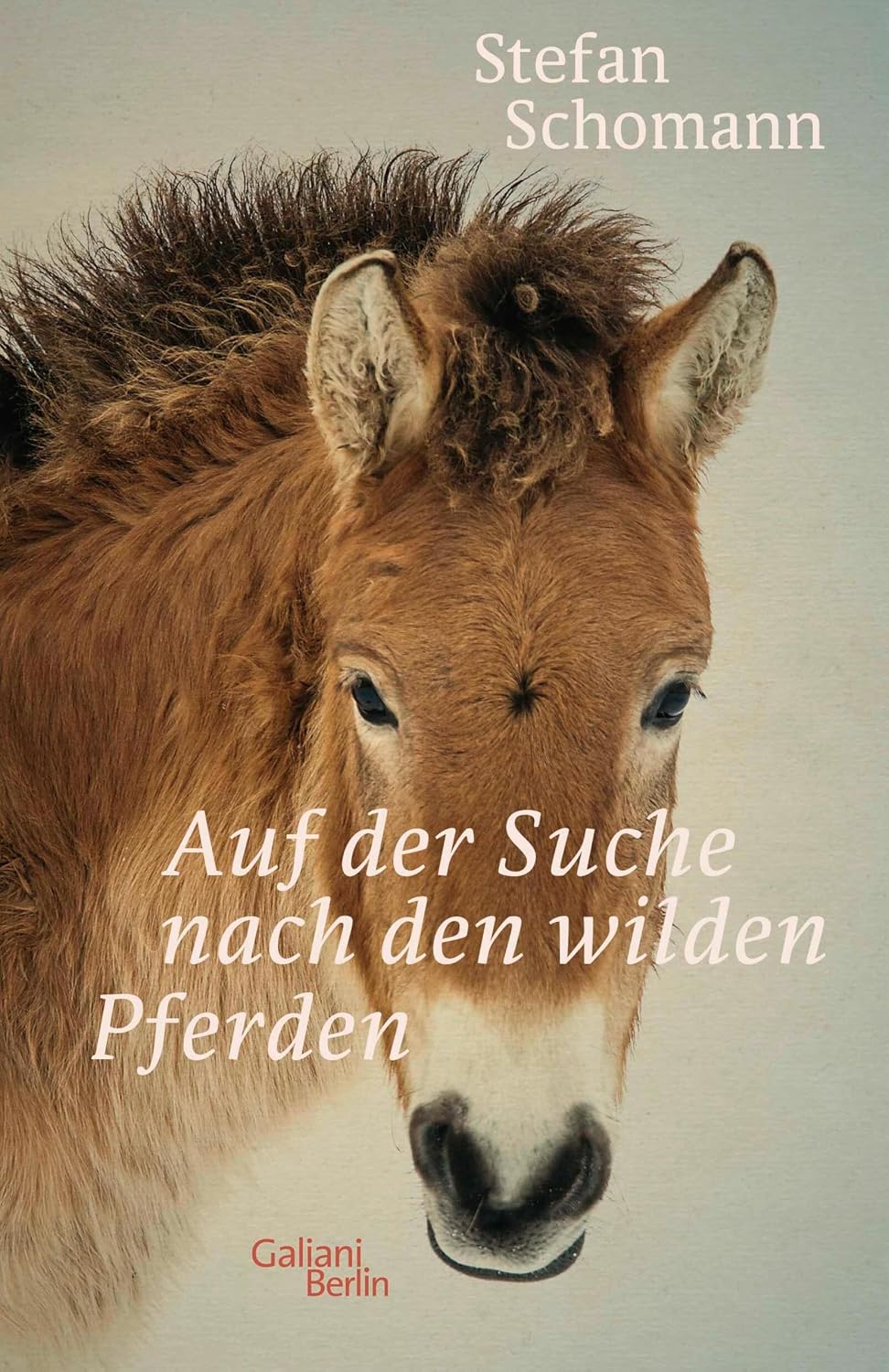 Auf der Suche nach den wilden Pferden (German Edition)