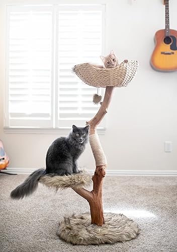 Miniatura 2 de MAU LIFESTYLE - Torre de árbol de madera para gatos, moderno condominio para gatos de una sola rama, árbol de madera para gatos, escalada para