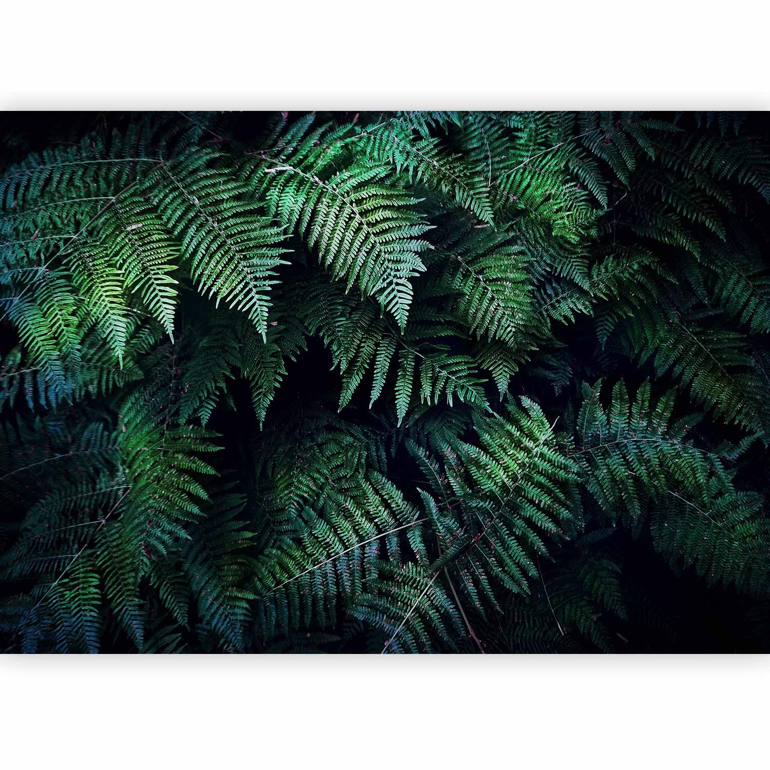 murando Photo Wallpaper 3D Effect 350x256 cm Non-Woven Premium Art Print