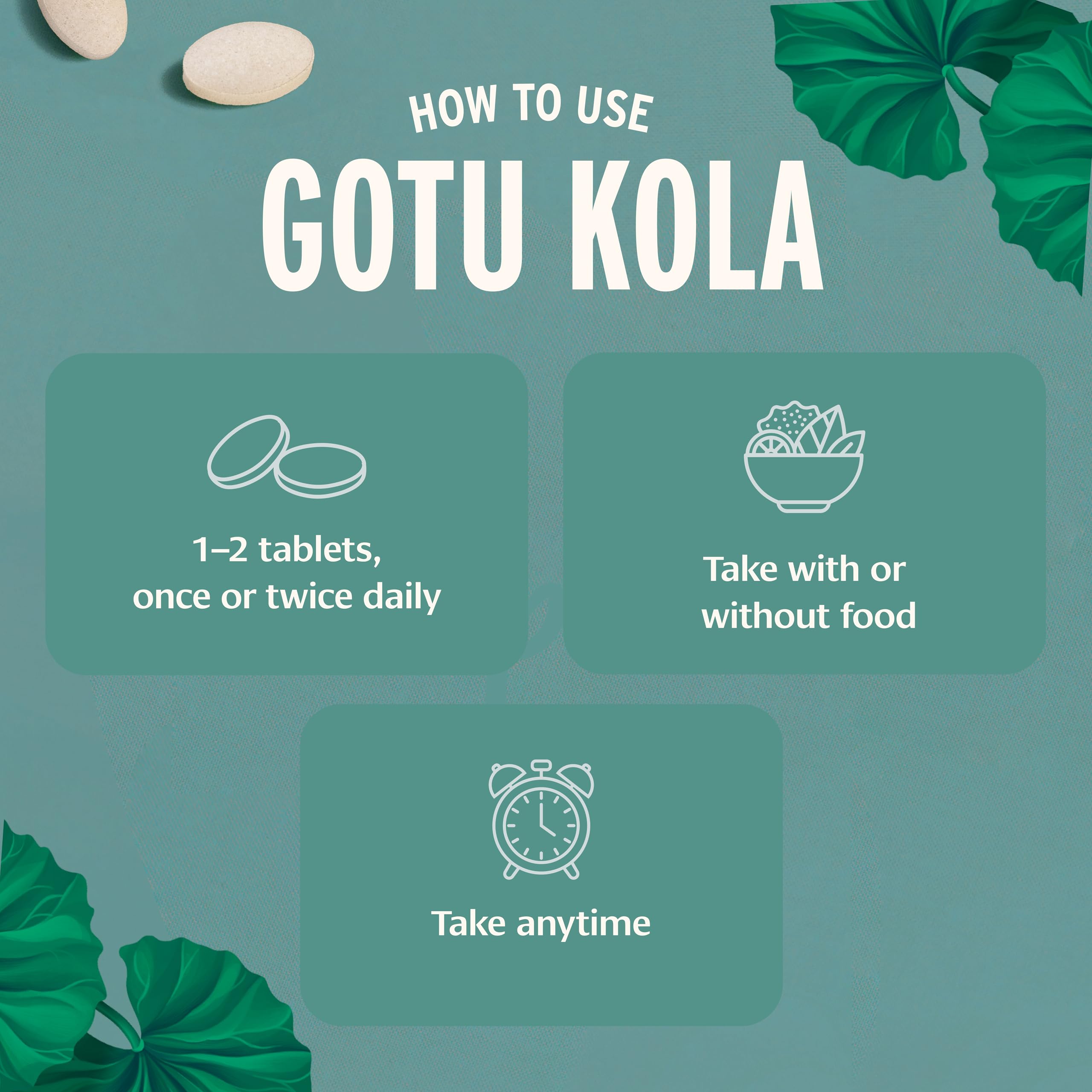 Banyan Botanicals Organic Gotu Kola–Nootropic Brain Supplement for Mental Clarity, Memory & Focus–Adaptogen for Stress Relief & Brain Support–Centella Asiatica Tablets–90 Tablets–USDA Organic — Amazon image 3