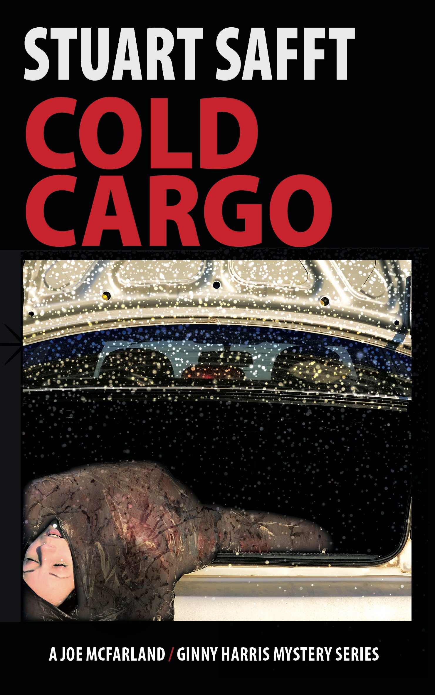 Cold Cargo: A Joe McFarland - Ginny Harris Mystery: 4