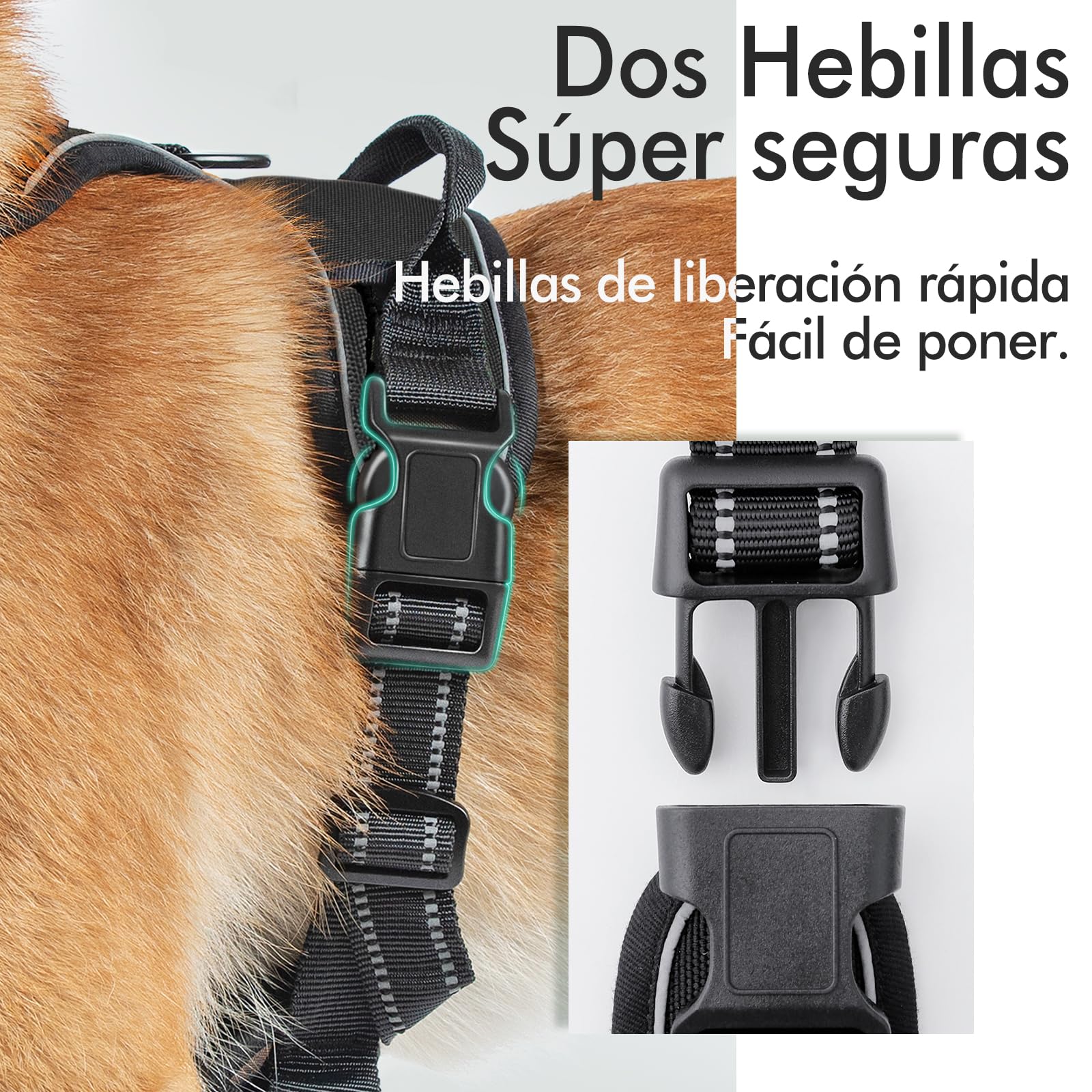 rabbitgoo Arnes Perro Grande Mediano Pequeño Arnés Pecho Antitirones Perros Coche con Lineas Reflecantes Cómodo Transpirable Chaleco Acolchado Ajustable para Adiesreamiento Correr Negro Tamaño Grande