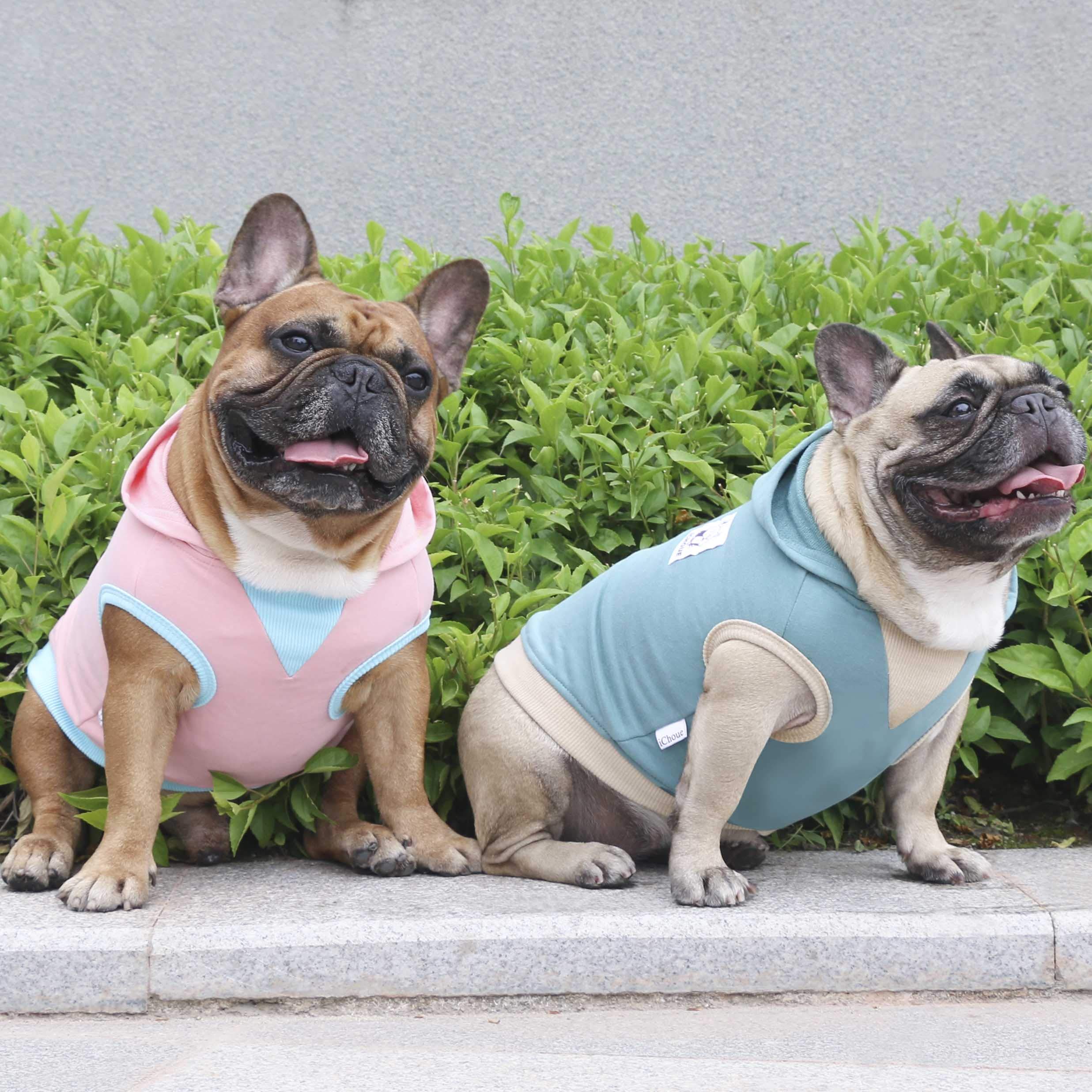 iChoue - Felpa con cappuccio per cani, con cappuccio, in cotone, motivo: bulldog inglese, Boston Terrier