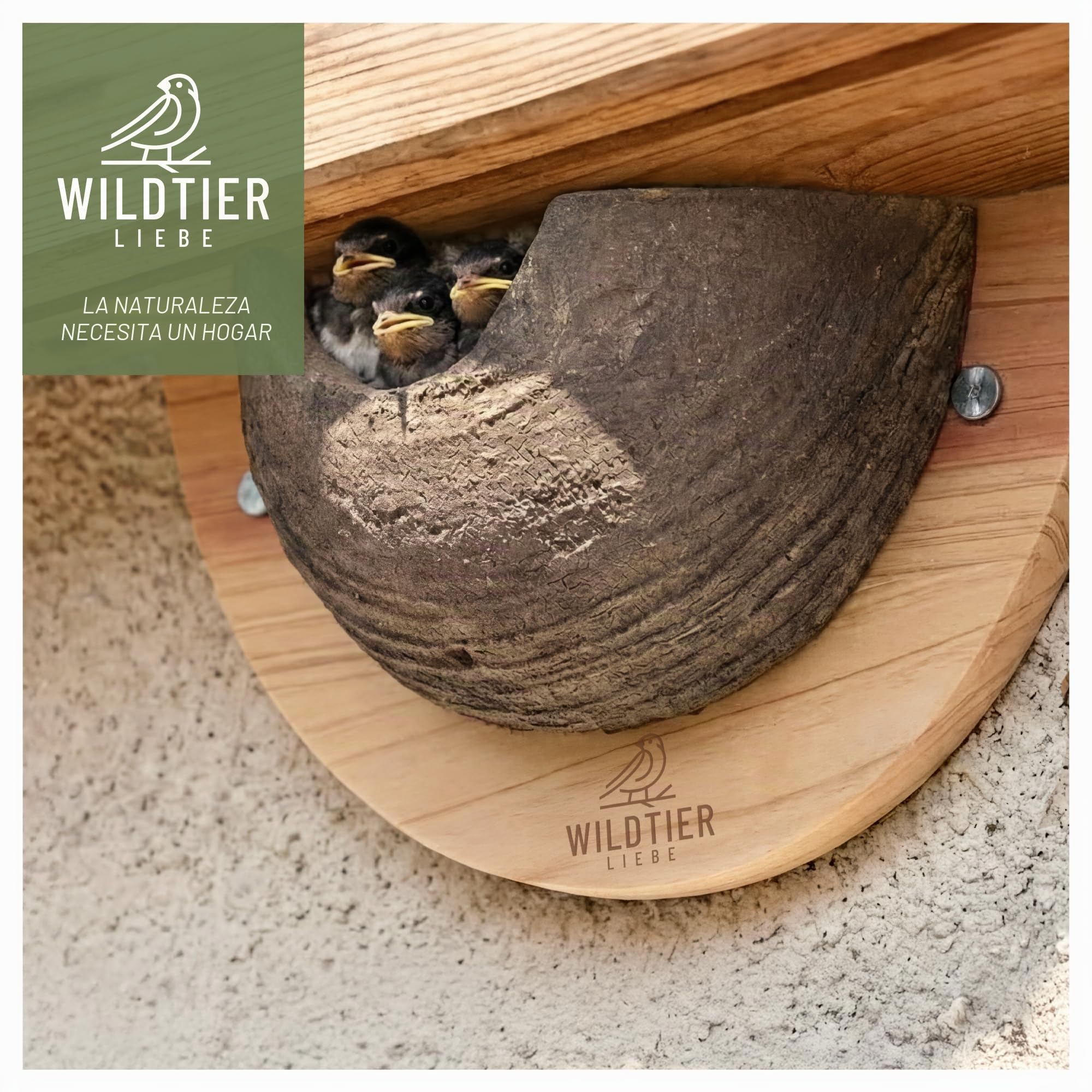 wildtier liebe 1er Nido de golondrina, ayuda para anidación natural para golondrinas de madera maciza y arcilla natural - sin tratar, resistente a la intemperie, nido de golondrina