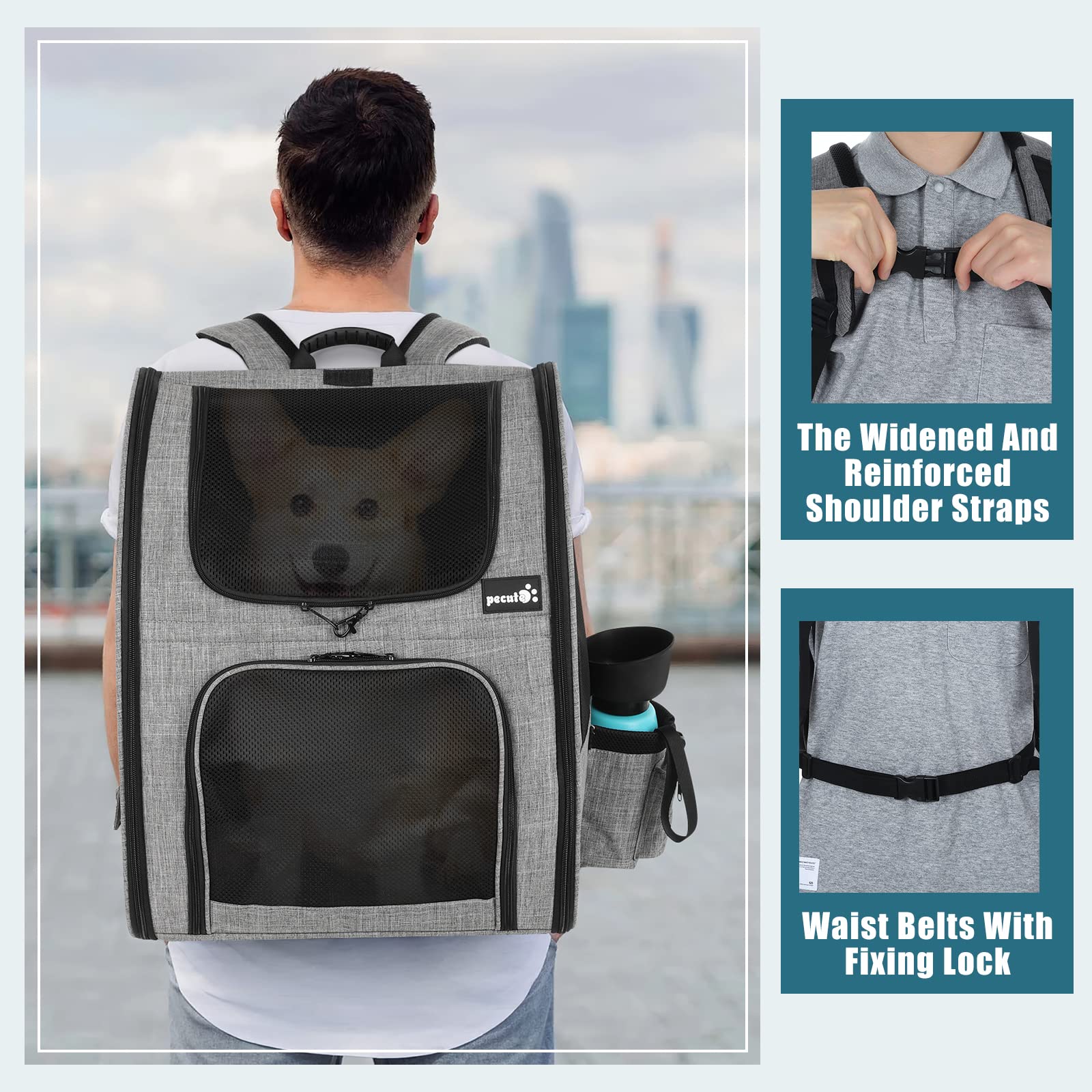 Pecute Pet Carrier Backpack, Large Cat Backpack Carrier Hold Up to 33