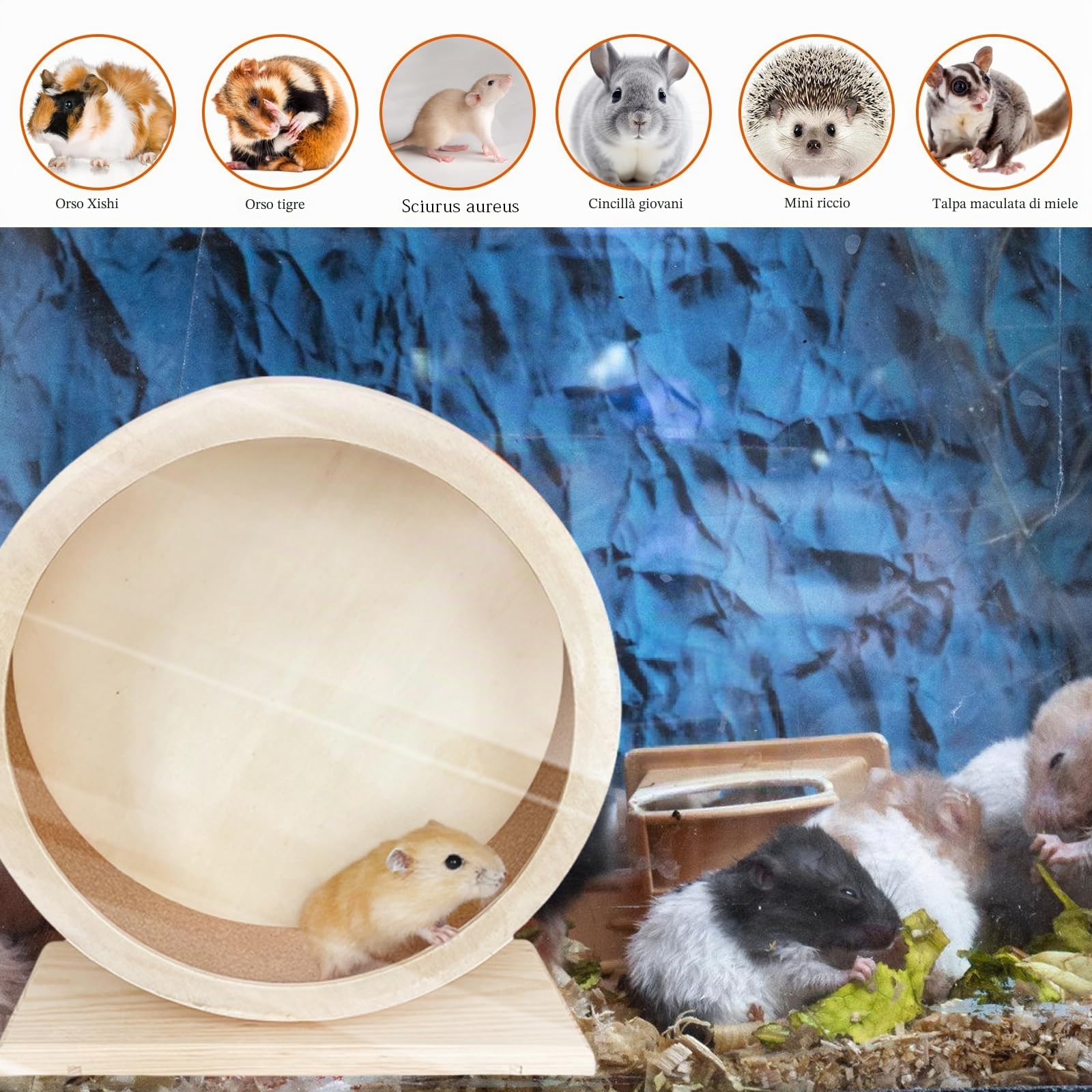 Rotella per criceti in legno per piccoli animali domestici: WIYETY Rotella per criceti silenziosa, rotella per criceti a basso rumore per tranquillità e movimento, rotella per altri piccoli animali