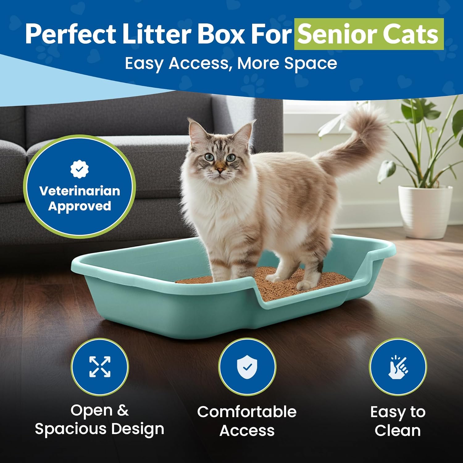 KittyGoHere Senior Cat Litter Box 1 Pack, Large Green Low Entrance Kitty Litter Box, Sized for Cats Comfort, Perfect for Senior and Arthritic Cats, Made in USA