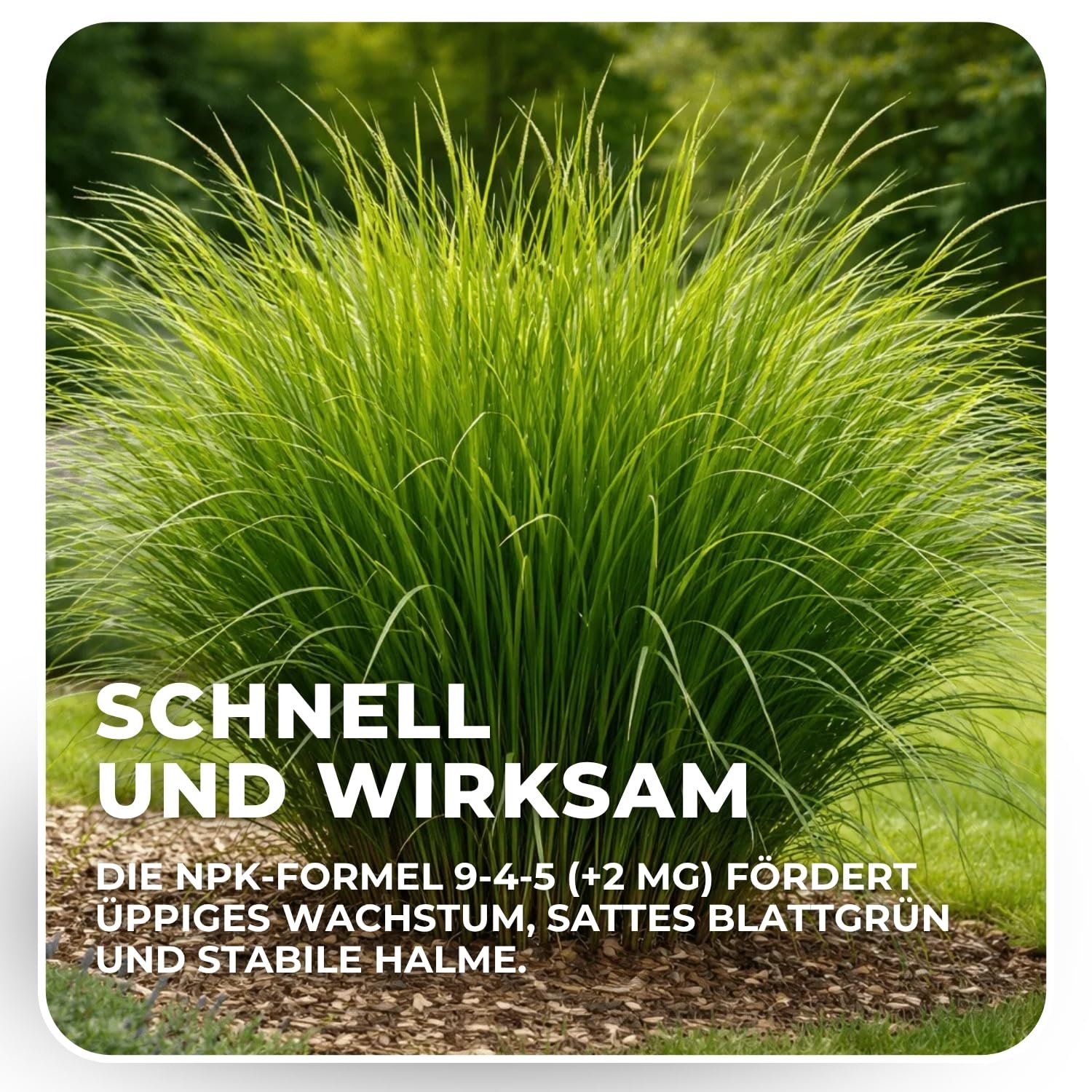 Flora Boost PRO Ziergras Dünger Langzeitwirkung 5 kg