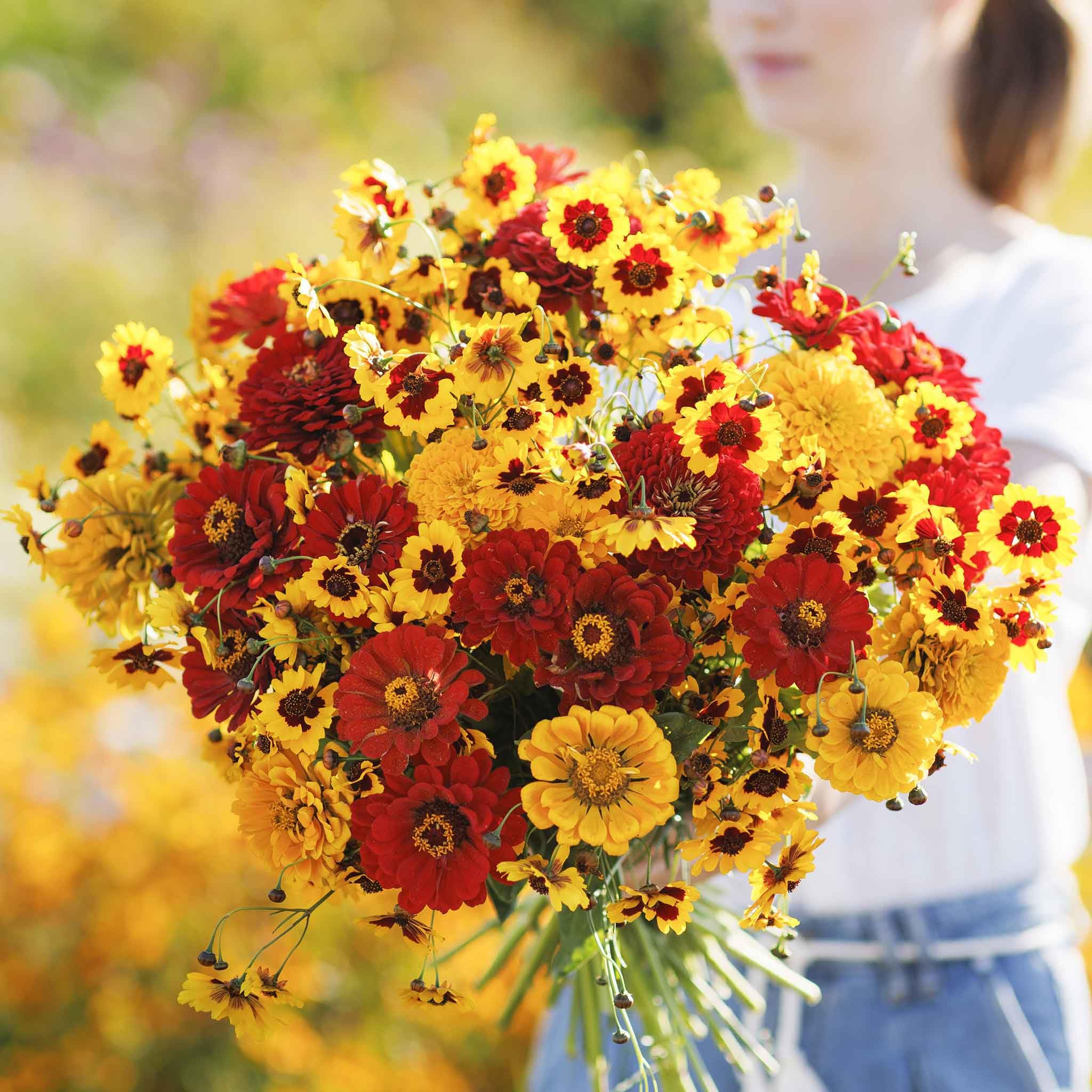 Eden Brothers Fiery Flower Mixed Seeds