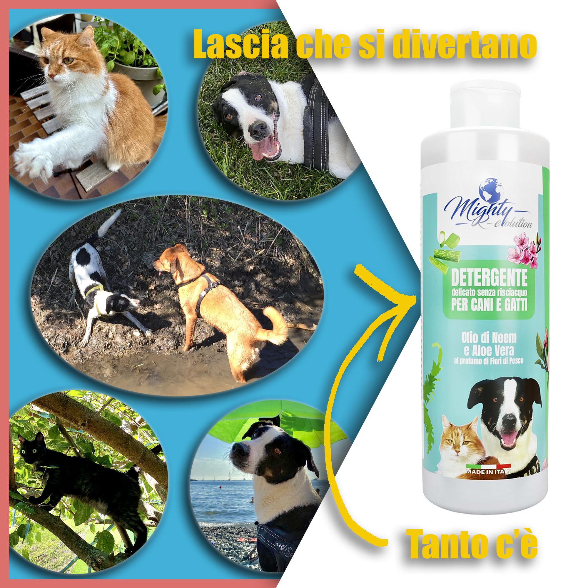 Gel Detergente Senza Risciacquo all’Olio di Neem e Aloe Vera, Shampoo a Secco per Cane, Gatto e Conigli a Pelo Lungo o Corto, Senza Parabeni e Siliconi, Totalmente Naturale - 250 ml, Made in Italy