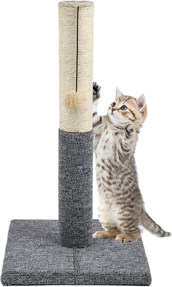 Akarden 20.5'' Tall Cat Scratching Post, Kitty Scratching