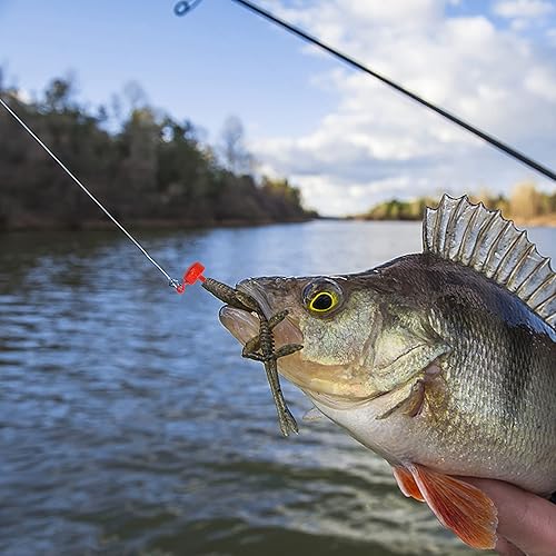 Miniatura 5 de Ned Rig - Kit de cabezas de calar, 25 piezas de anzuelos Ned Rig Cebos, cabezas de plantilla de hongos finos, anzuelos de pez de pesca, cabezales de