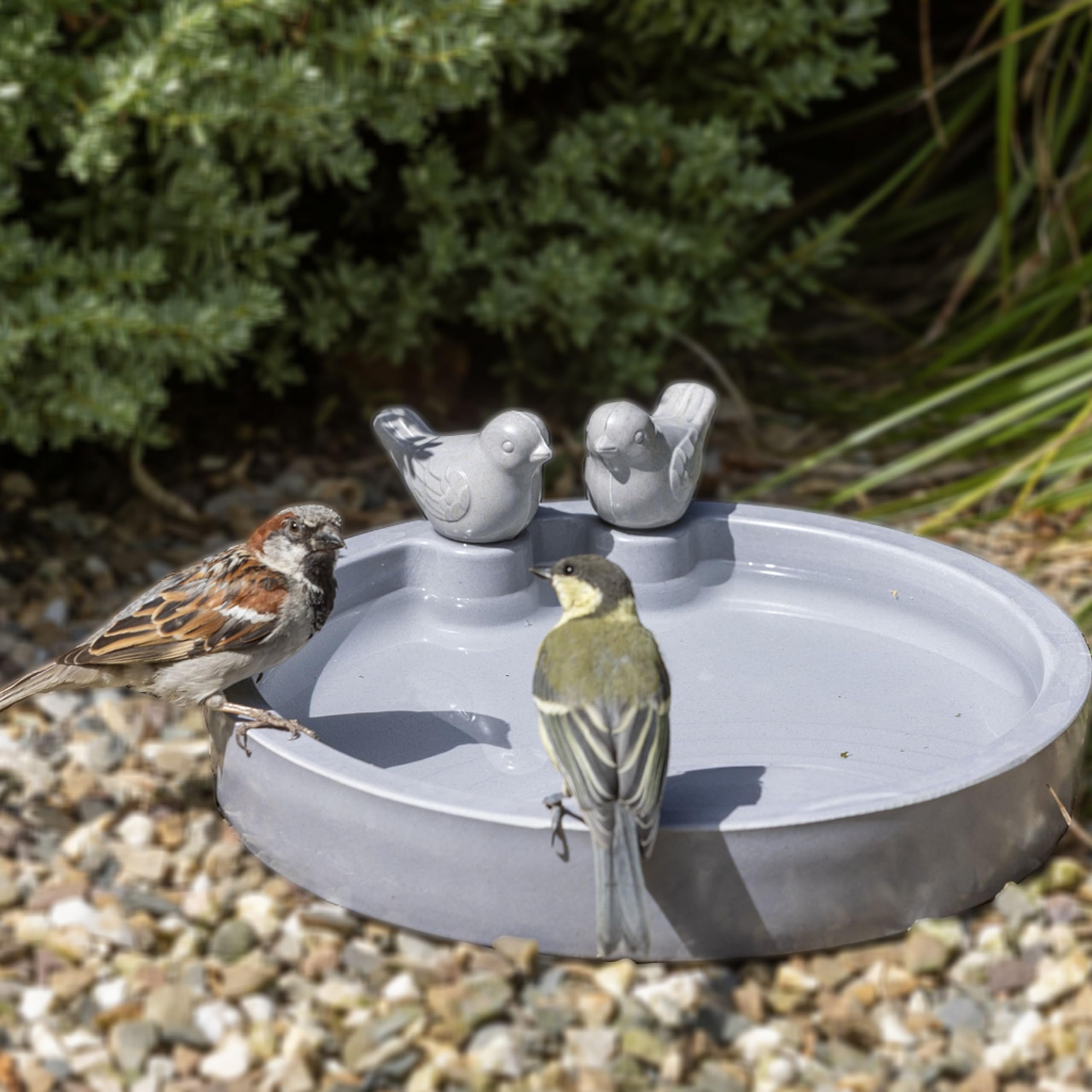 CJ Wildlife Bird Bath for Garden – Bird Water Feeder, Bird Water Bowl – Frost-Resistant, Sustainable Biodegradable Design
