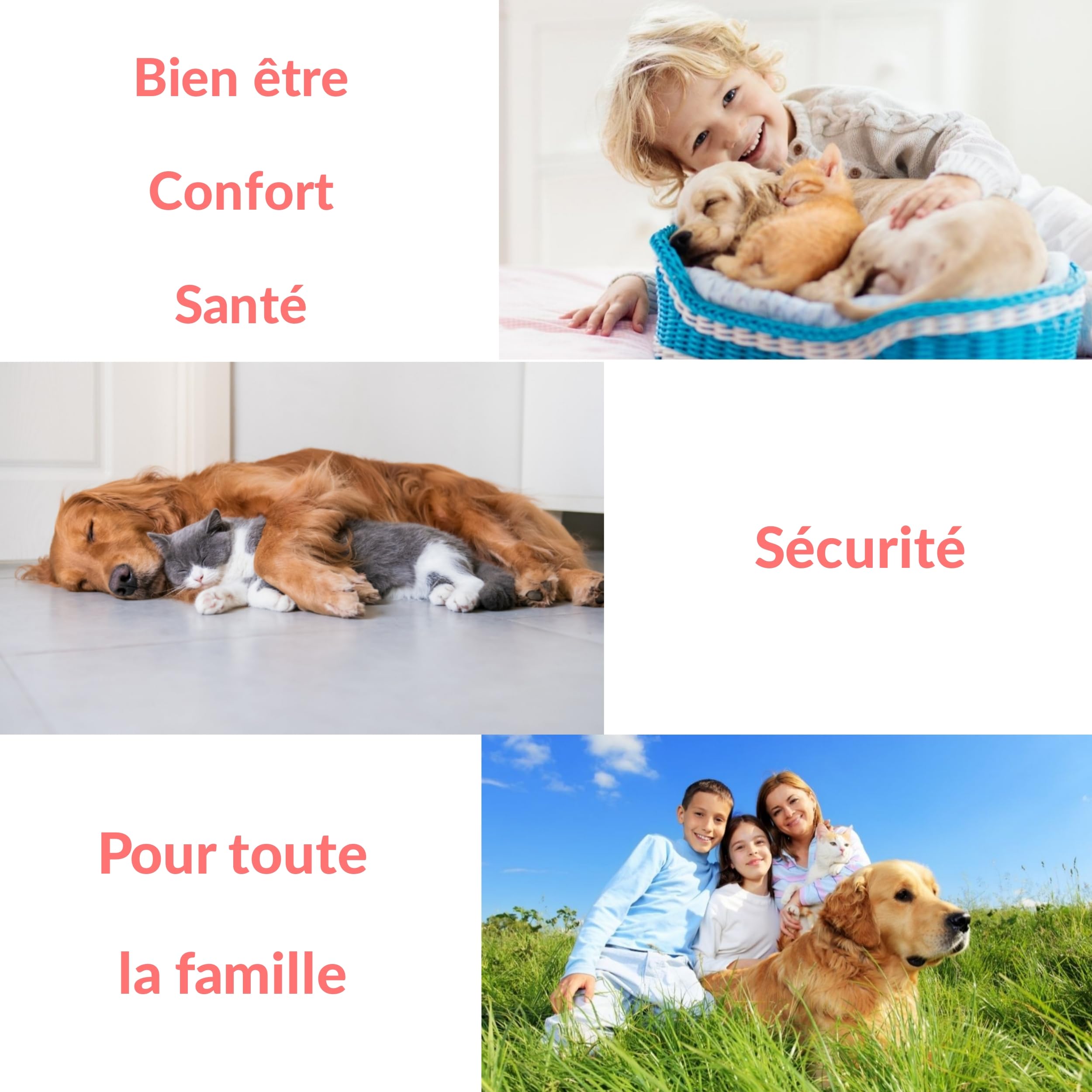 Peigne anti puce et tique pour chien et chat. Kit de crochet et tire tiques pour enlever et éliminer puces et poux des animaux de compagnie. Outil de toilettage. Elimination naturelle Lot de 5 pcs