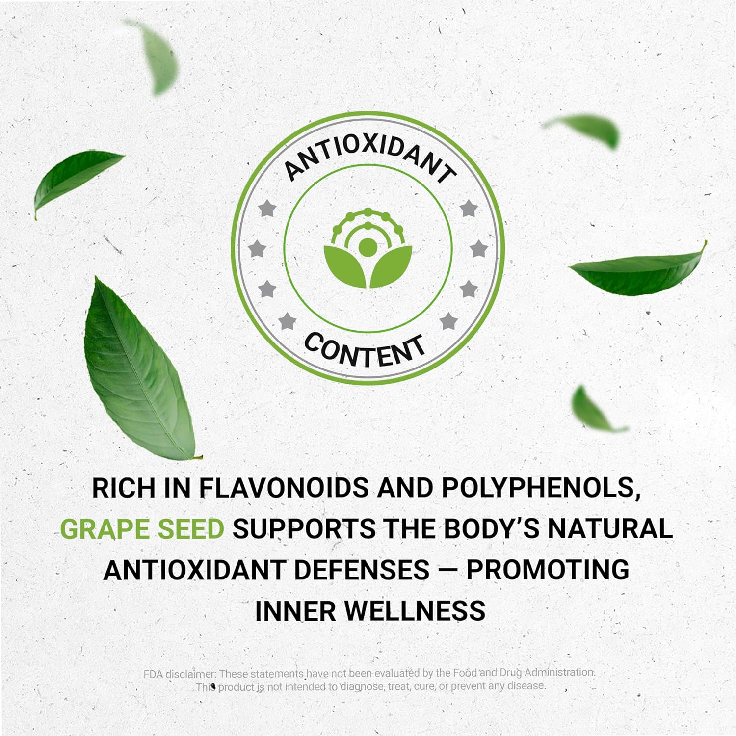 Secrets of the Tribe Grape Seed Tincture Alcohol-Free Liquid Extract, Grape (Vitis Vinifera) Dried Seed (2 FL OZ) - Image 5