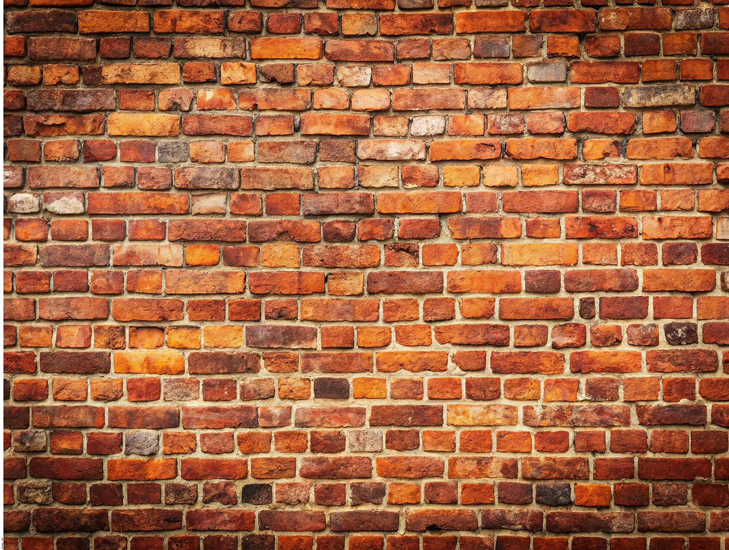 7x5ft Red Brick Wall Backdrop Brick Photography Backdrops Baby Birthday Party Graduation Home Decoration Background Photo Booth Studio Prop Banner 069