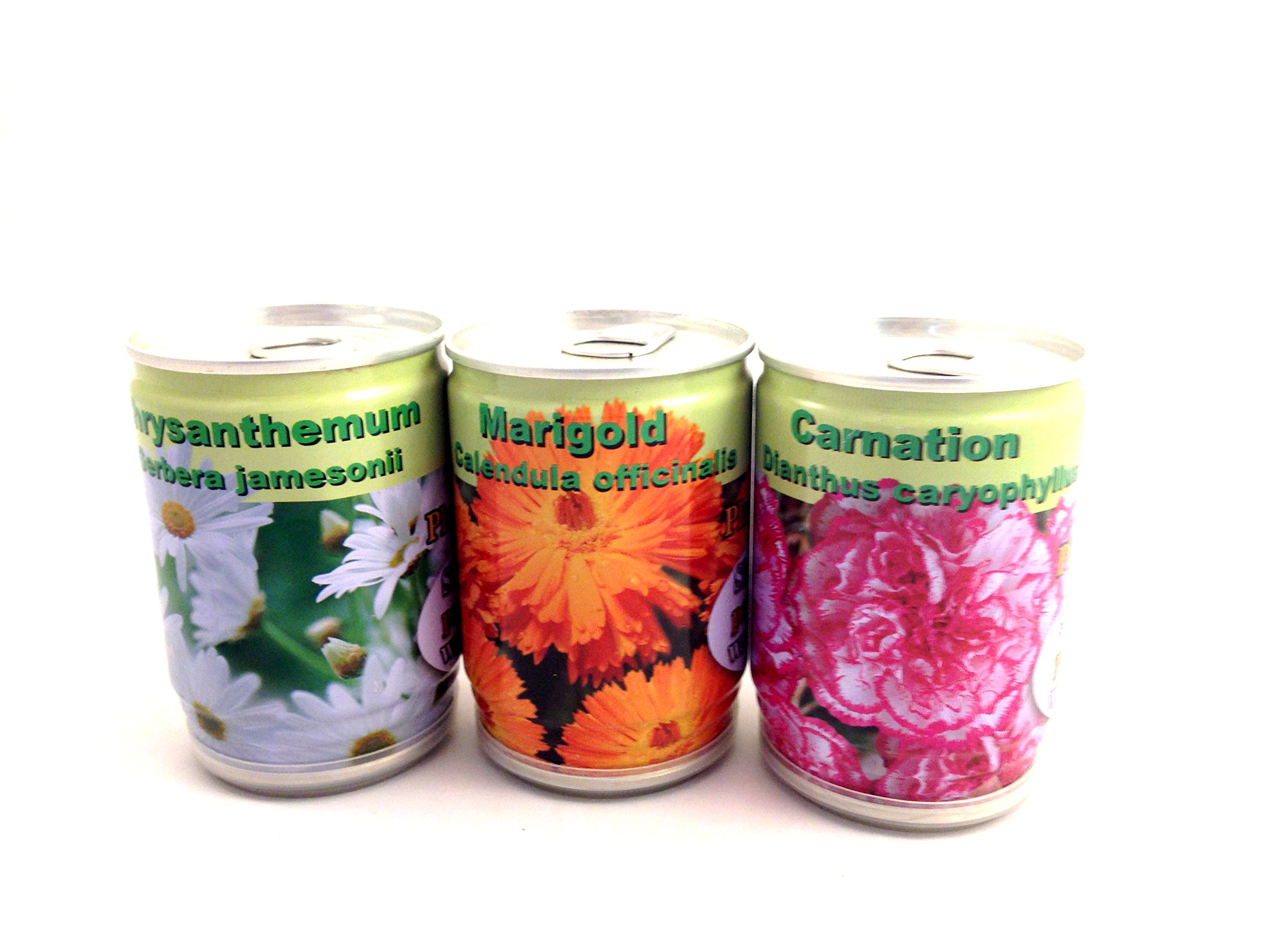 Grow Your Own: Carnation, Marigold And Chrysanthemum Seed Cans
