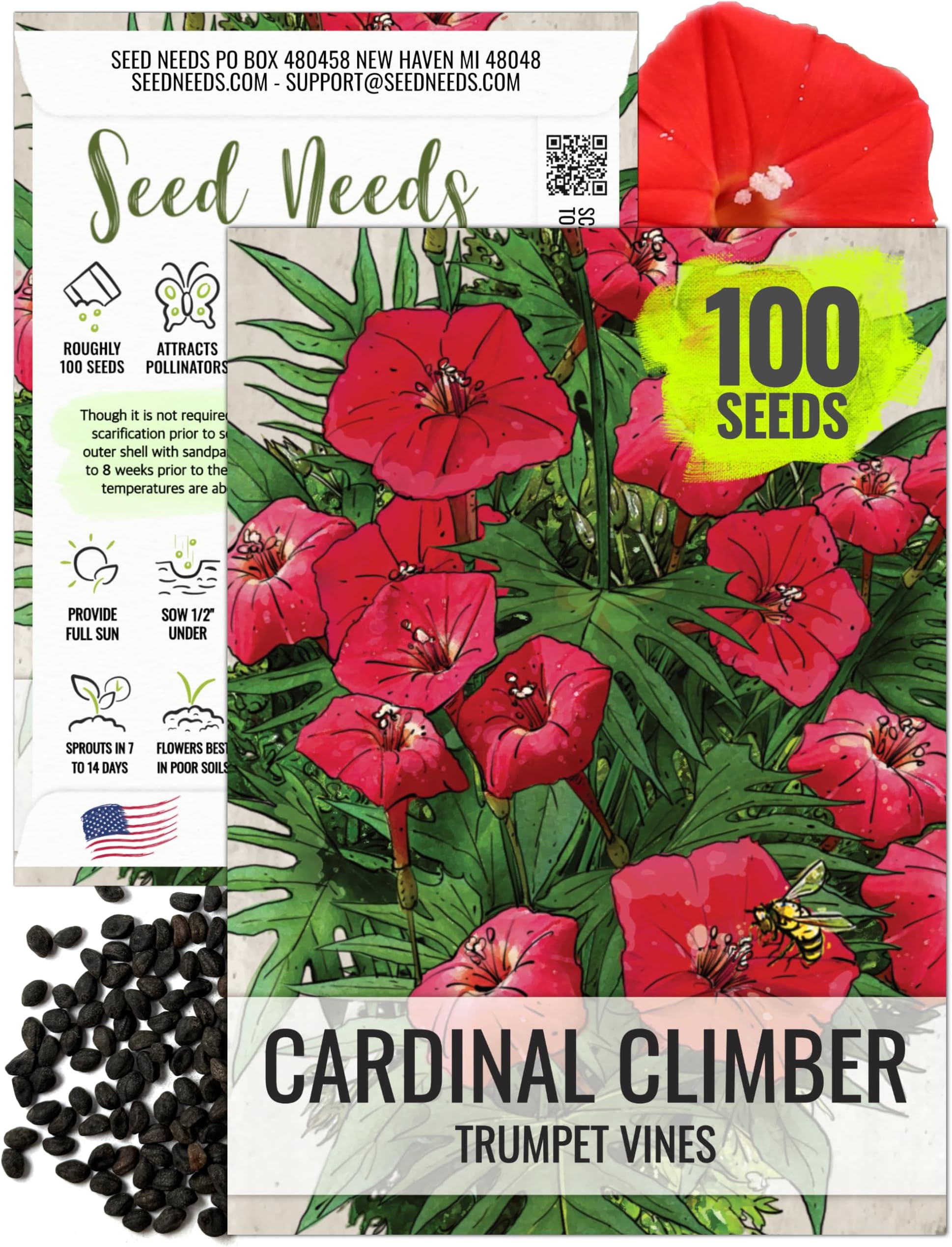 Seed Needs, Cardinal Climber Seeds - 100 Heirloom Seeds for Planting Ipomea Quamoclit - Open Pollinated & Untreated, Attracts Pollinators (1 Pack)