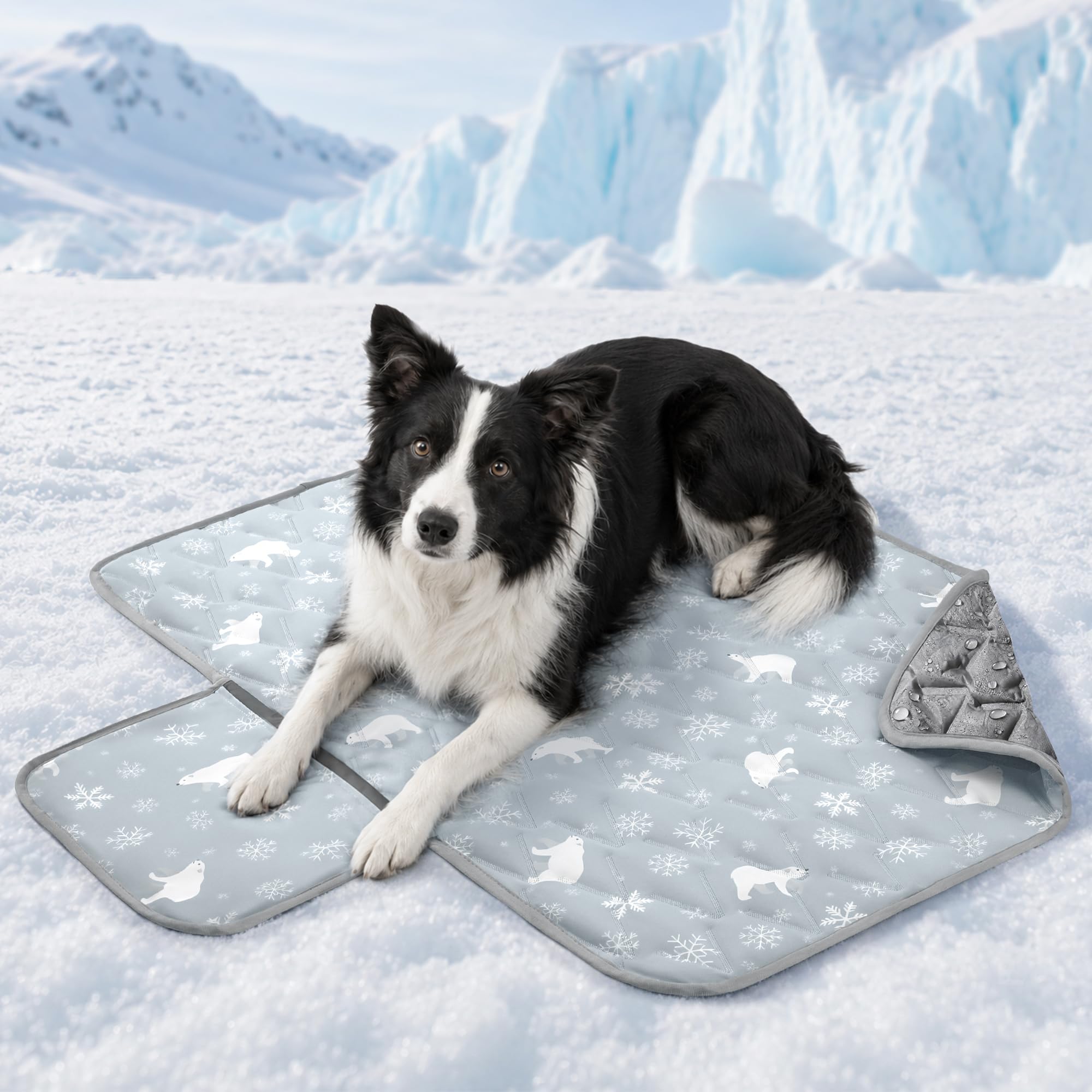 Angelpet Dog Cooling Mat for Medium Dogs & Cats, 100x70cm, Q-MAX > 0.5 Gel-Free Self-Cooling Pet Mat, Cool-Touch Fabric, Waterproof Bottom, Side Pouch, Washable Summer Pad for Floor & Car, Purple โ image 1