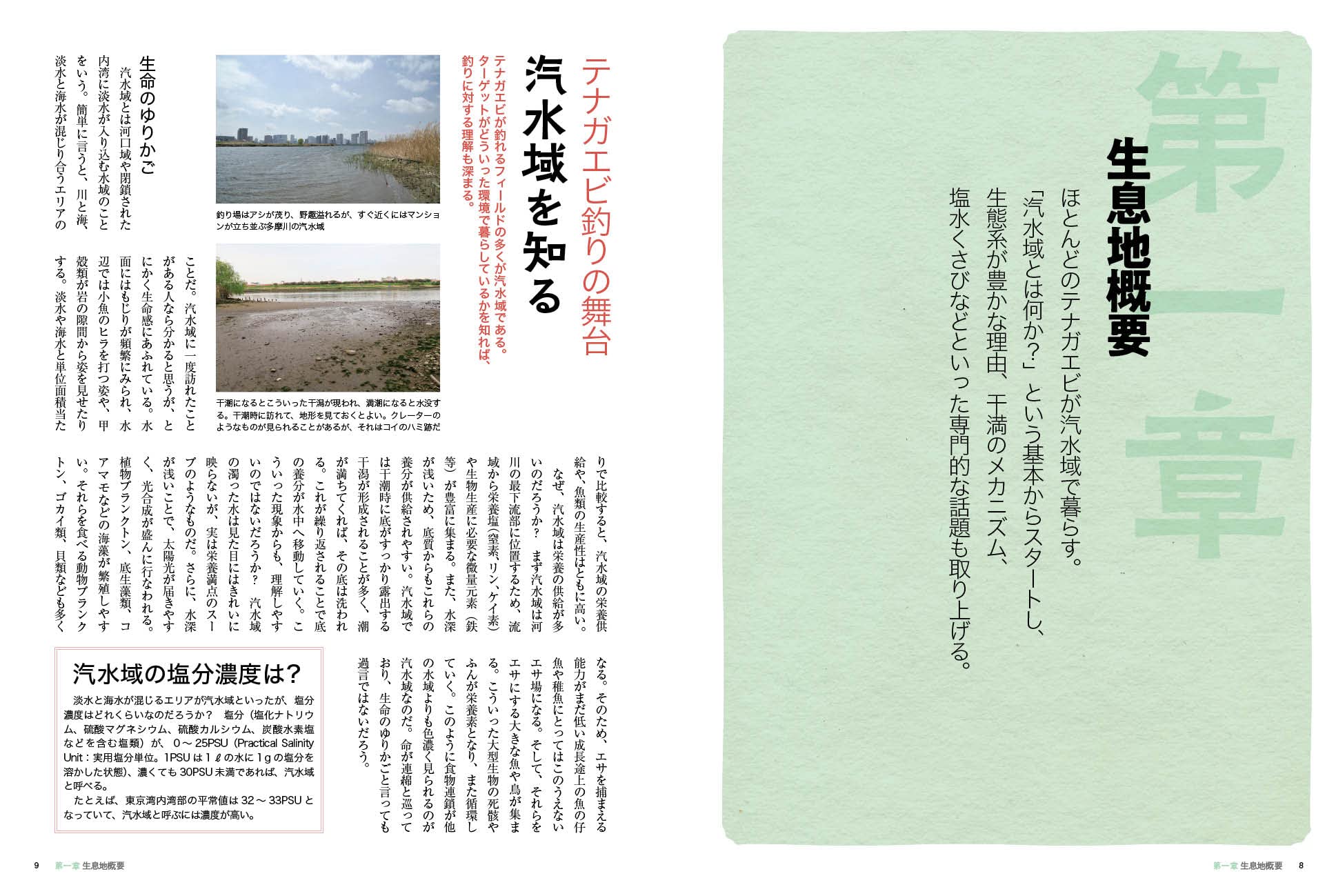 テナガエビ釣りの コツ 全部 つり人編集部 本 通販 Amazon