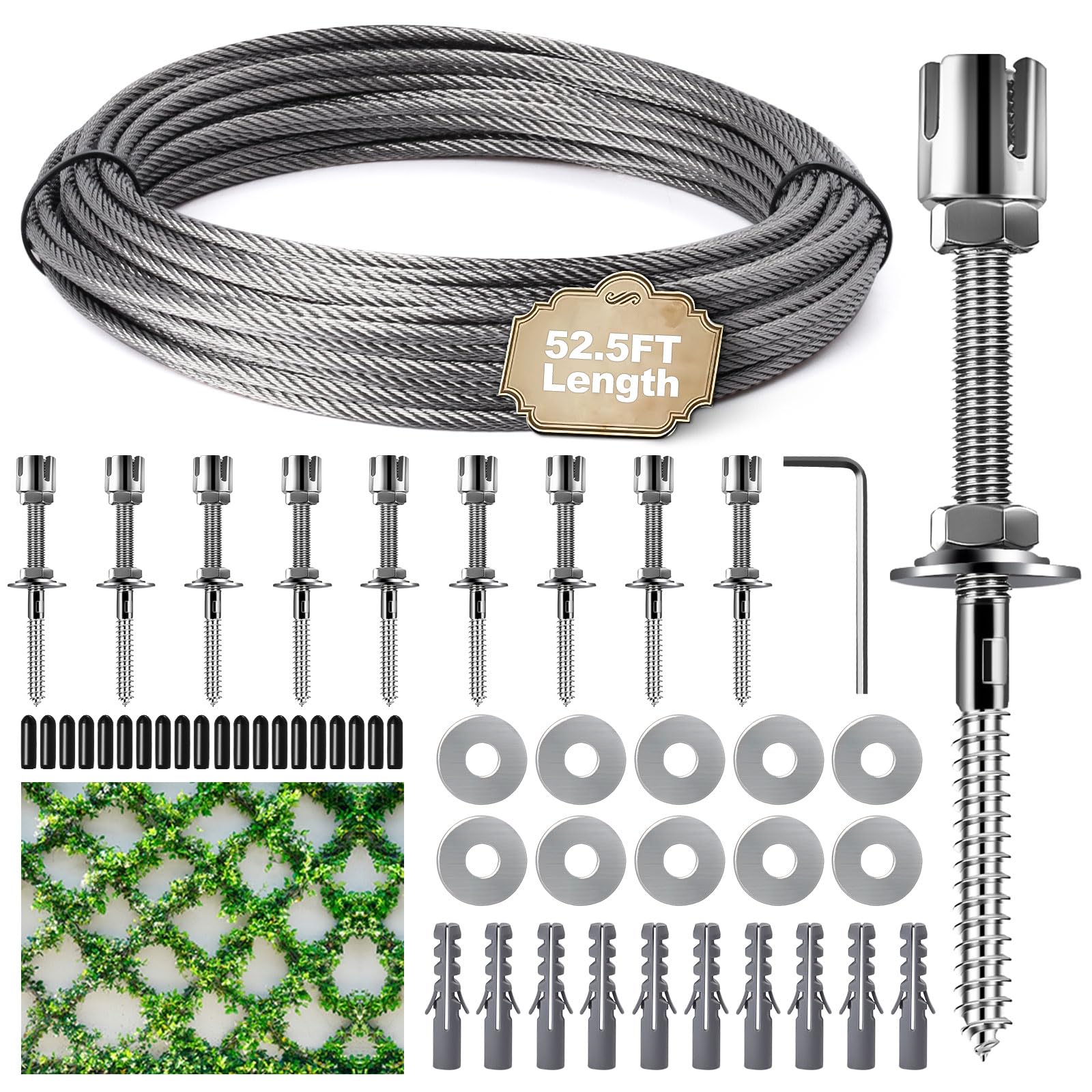 Wire Rell's How Many Wires In A Trellis Espalar Easy DIY Wire Trellis Kit For
