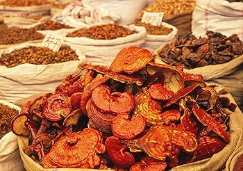 Amazon.co.jp: ○霊芝 さるのこしかけ まんねんたけ 120g 滋養豊富