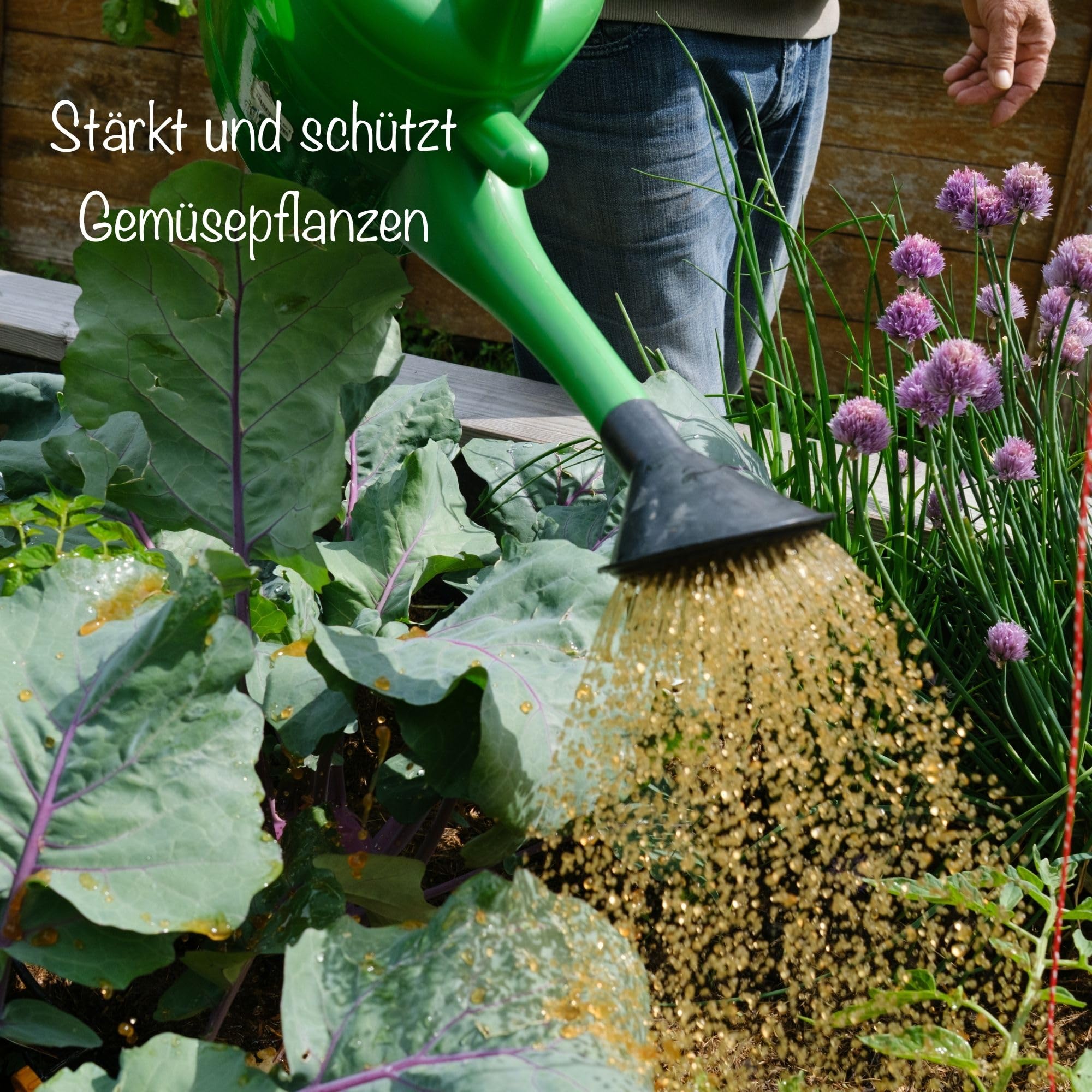 Emiko Tomaten- und GemüseDünger 1,2kg für aromatisches Gemüse und eine reiche Ernte mit effektiven Mikroorganismen I Tomaten I Gurken I Zucchini I Paprika etc.