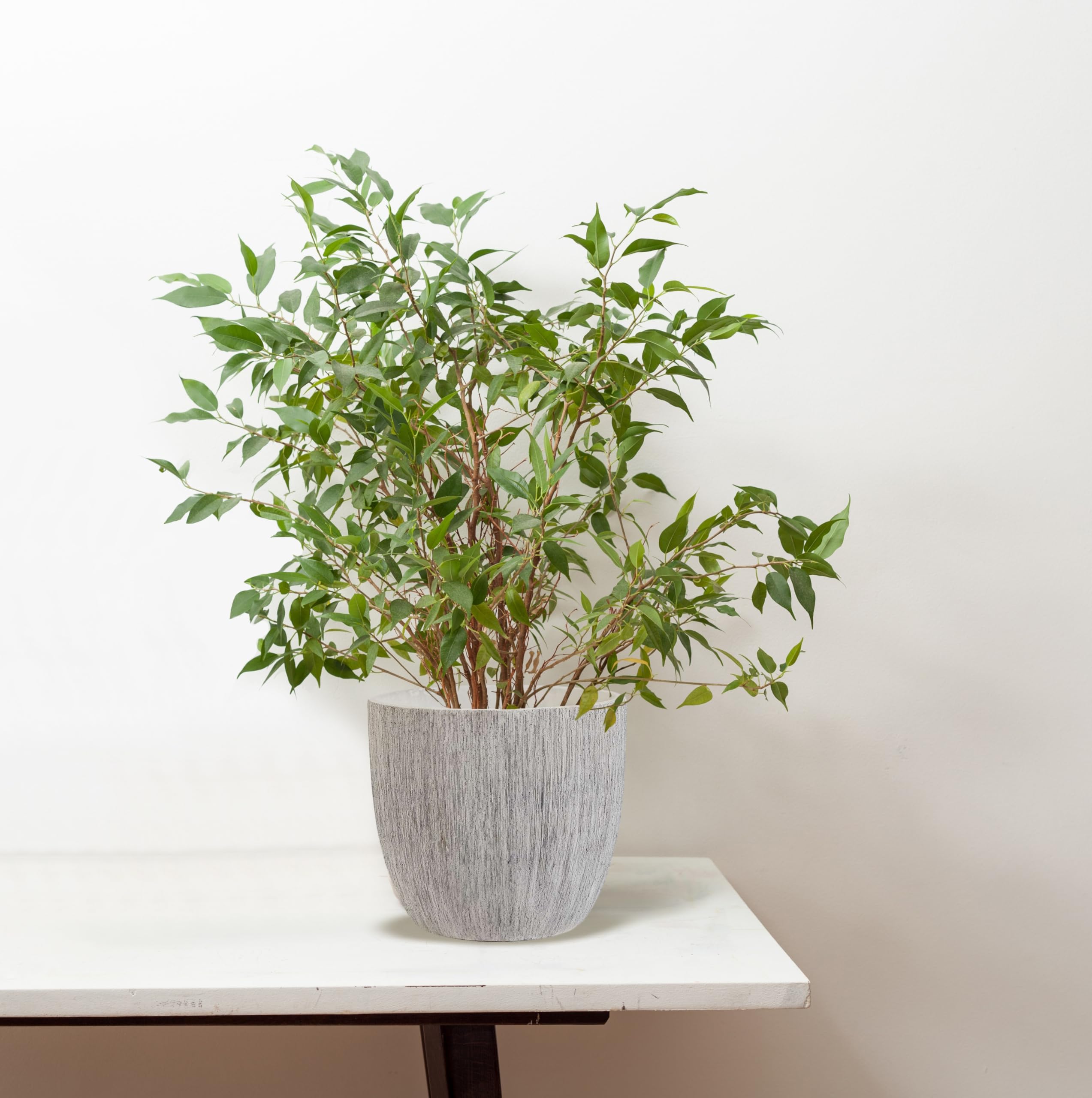 Olly & Rose grandi vasi in ceramica grigio spazzolato