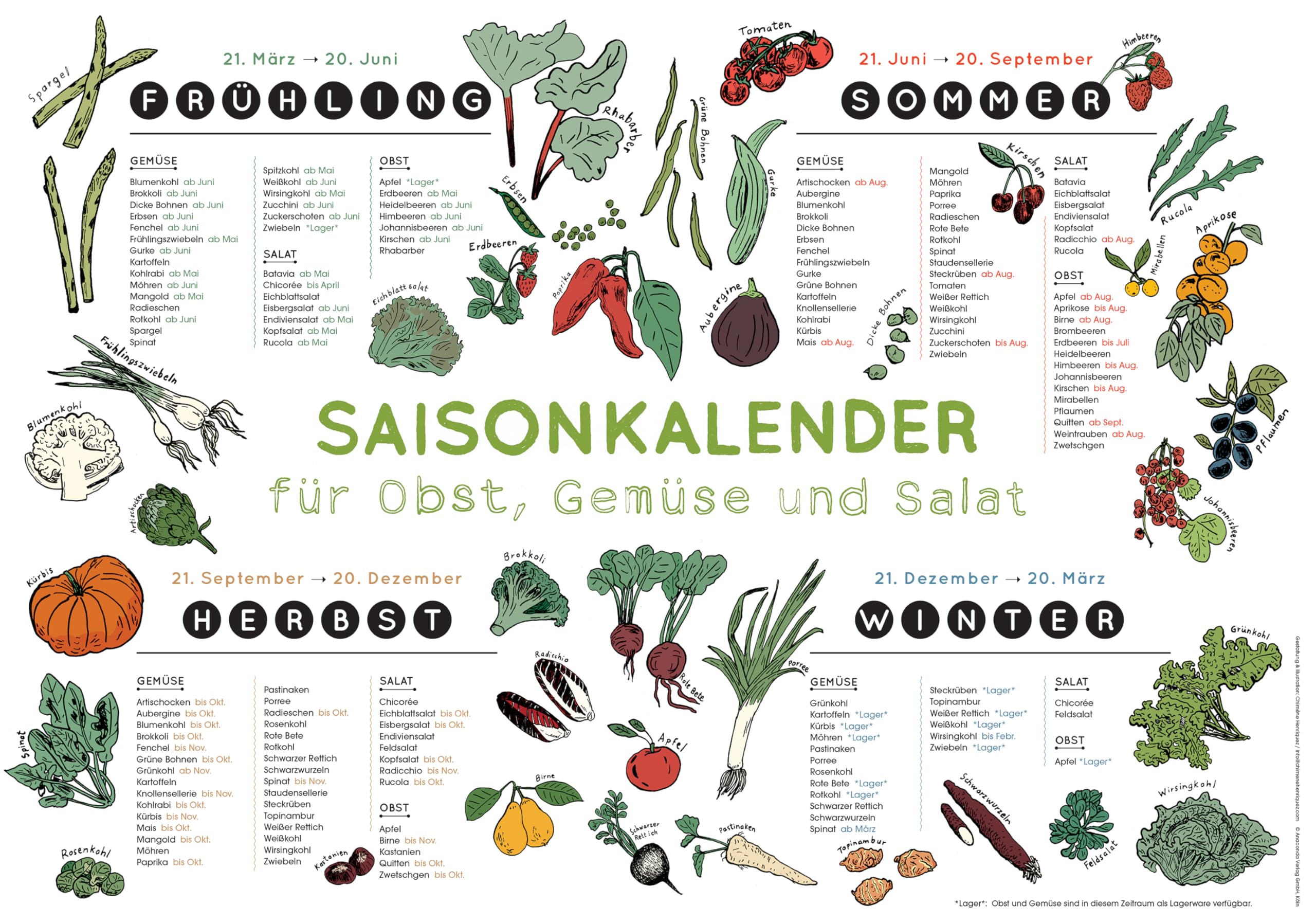 Anaconda Verlag Saisonkalender für Obst, Gemüse und Salat Wandbild 42 x 29 cm