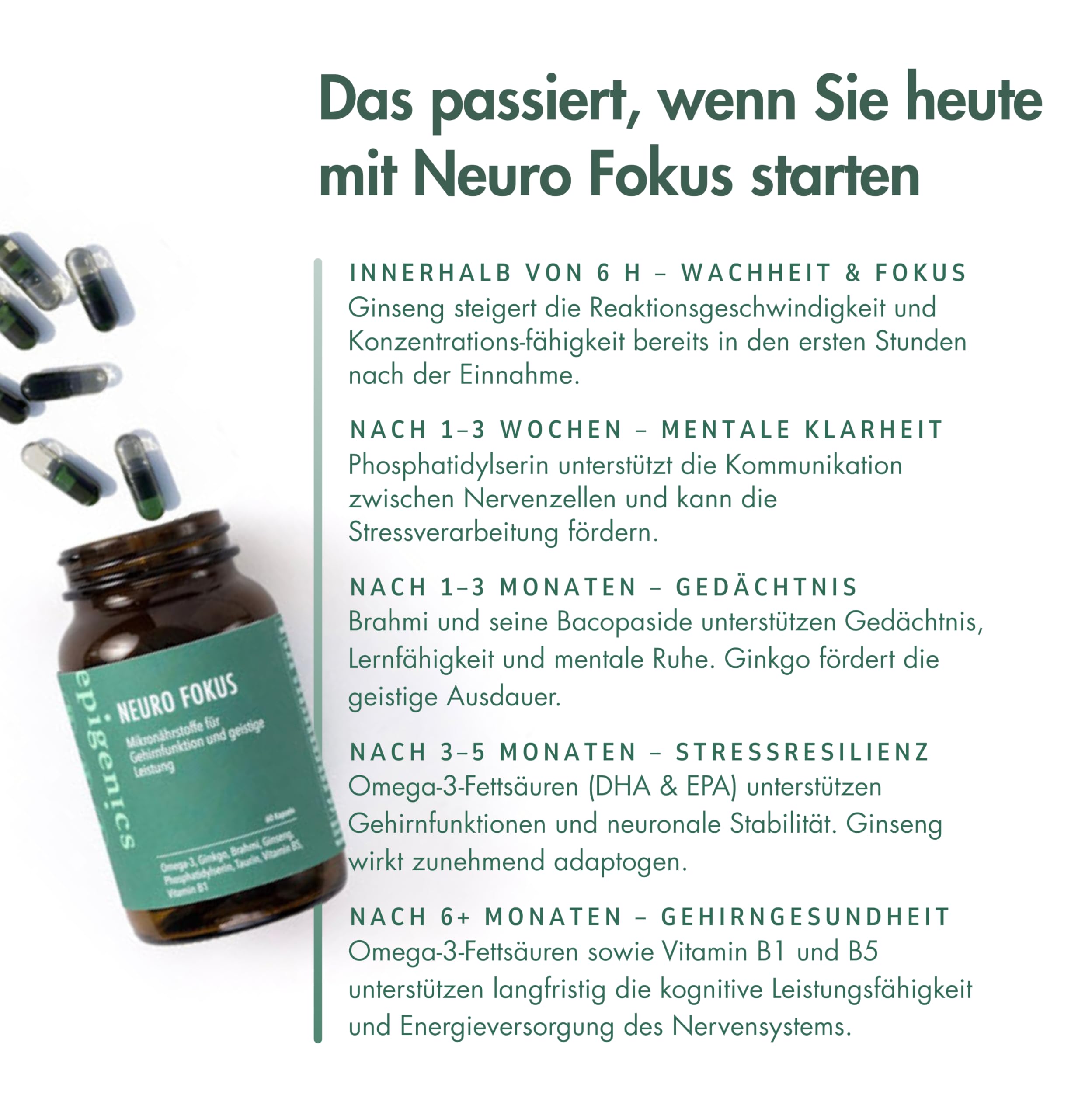 Epigenics Neuro Fokus Kapseln mit Ginkgo, Brahmi, Phosphatidylserin, Ginseng & Omega-3 (DHA/EPA) plus Vitamin B1 & B5 – Nahrungsergänzung für Konzentration & mentale Leistung – vegan (30 Tage)