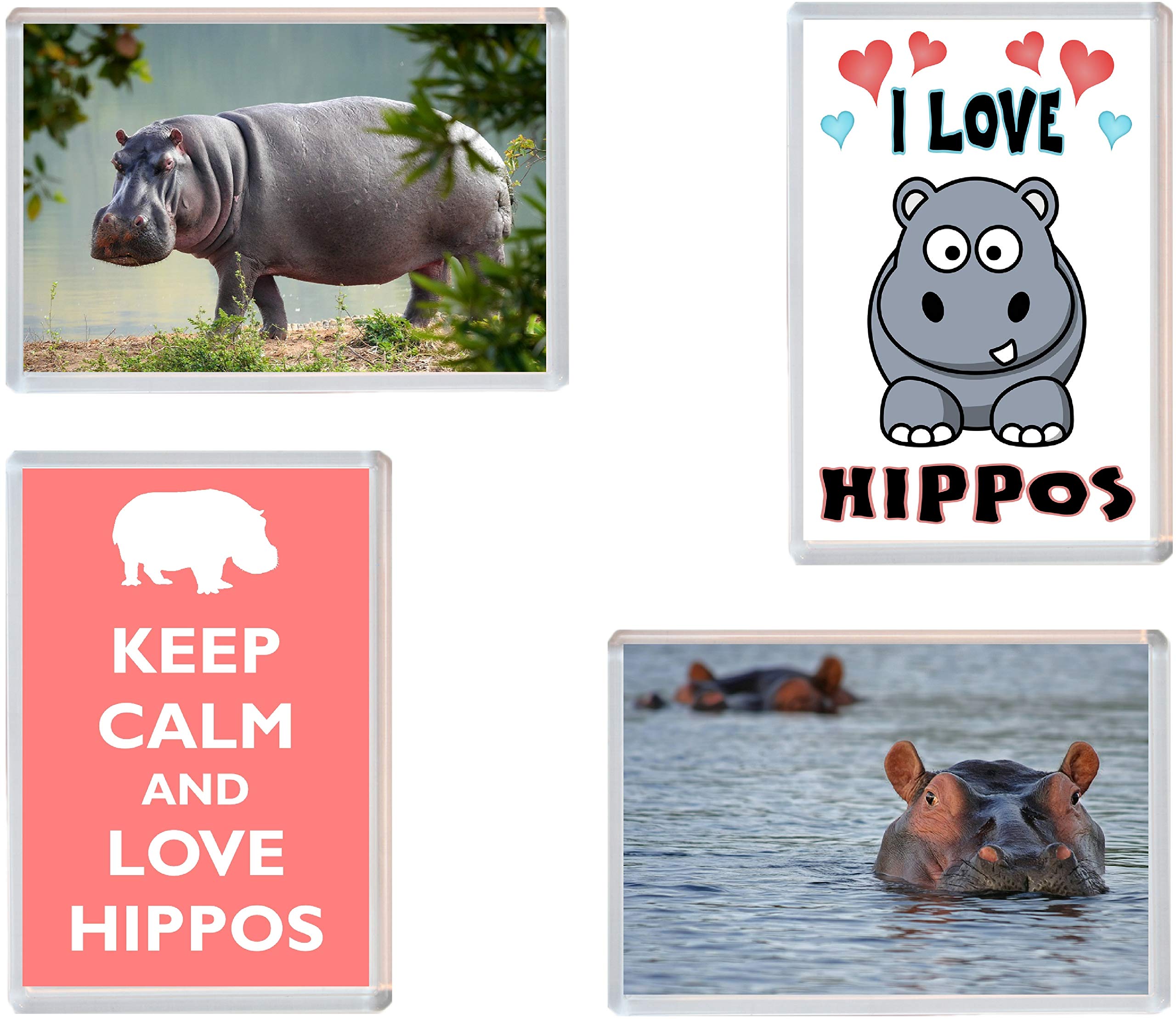 Hippo/Hippos/Hippopotamus - 4 PACK - Jumbo Fridge Magnet/Magnets