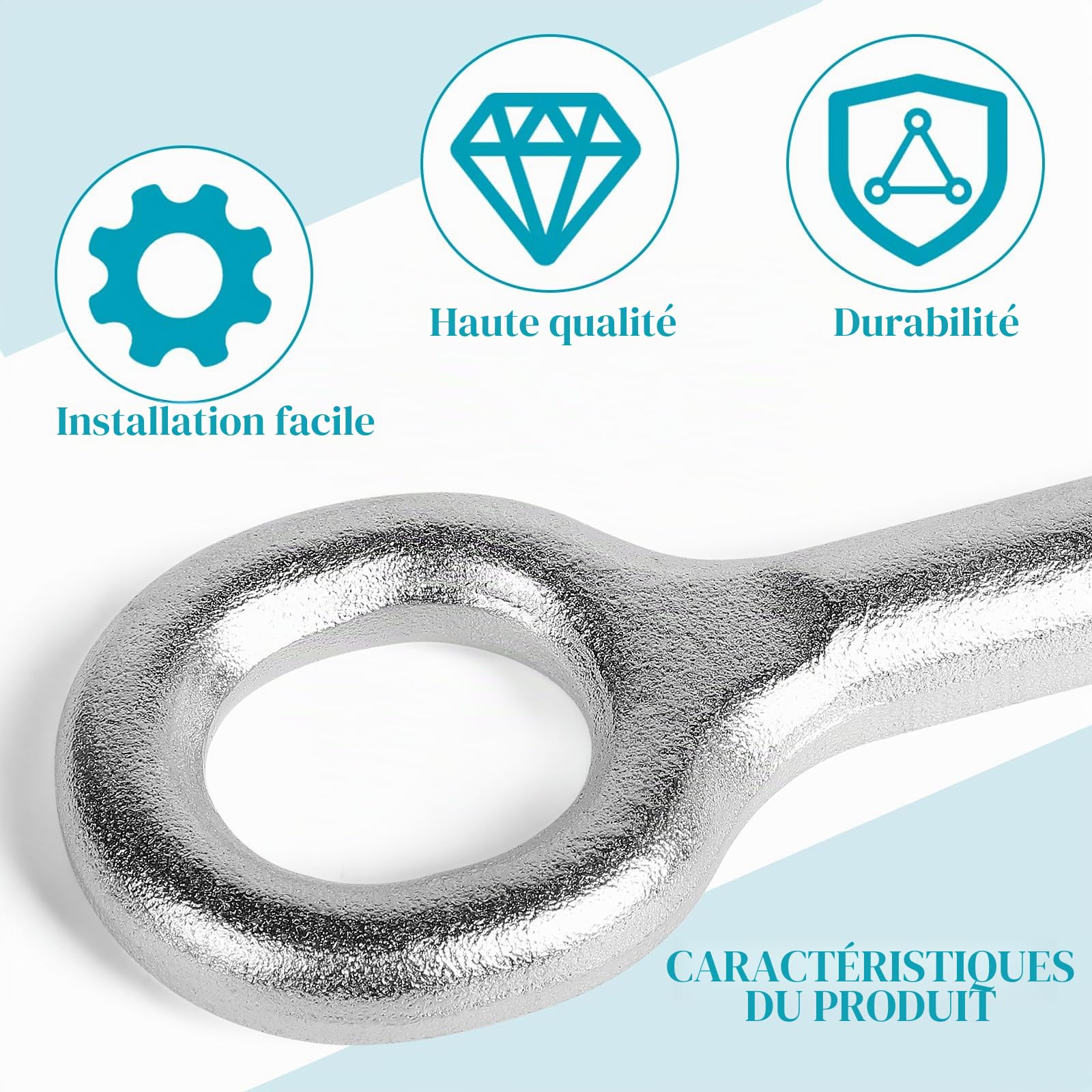 EFUTURETIME 51798113 Barres de Remorquage 1612882780 Tow Hook 215 mm Compatible avec Ducato 250, Boxer, Jumper