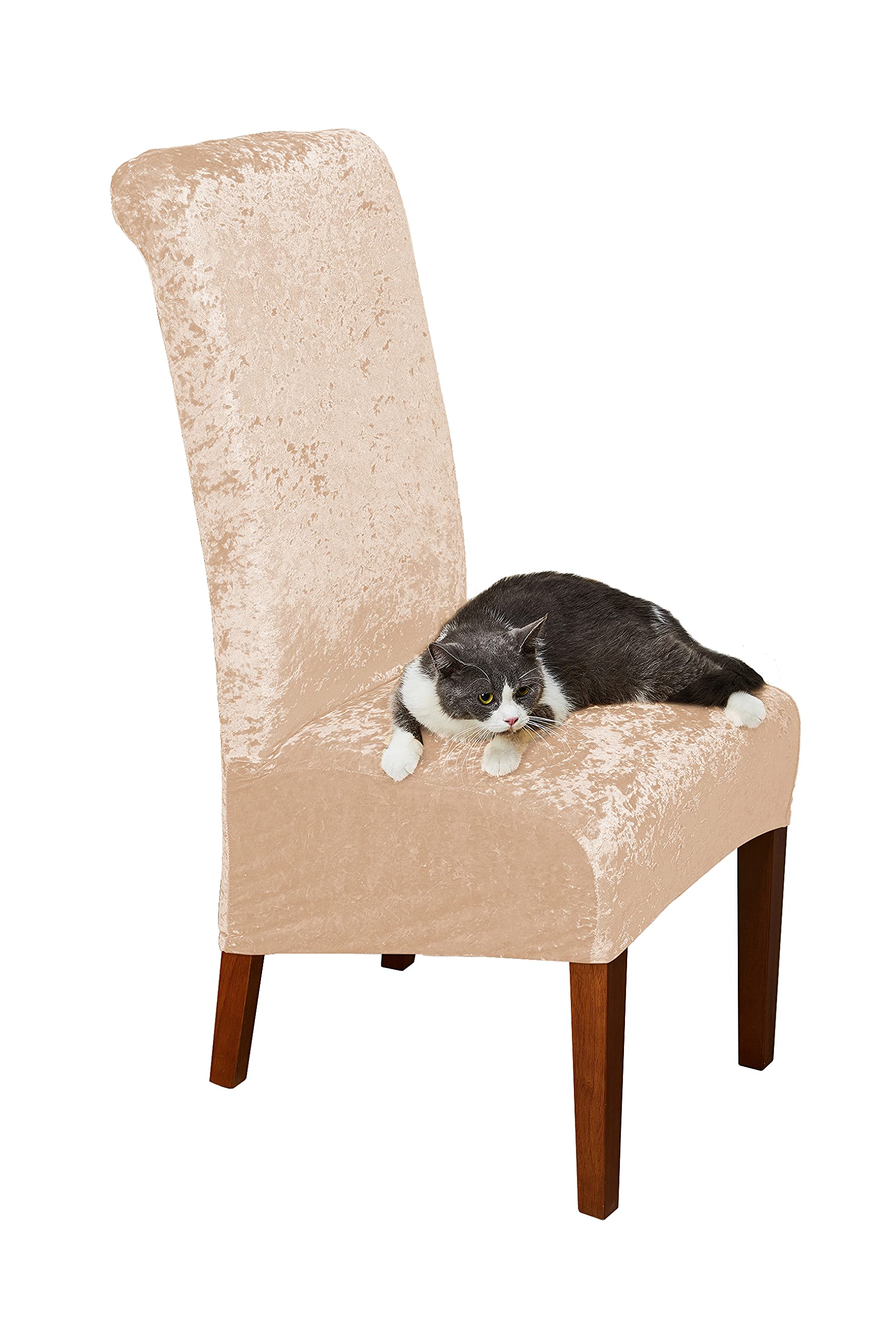 CMAKER Crushed Velvet Large Dining Chair Covers,Stretch Chair Covers for Dining Room Removable Washable Slipcovers for Parsons Chair Set of 6,Champagne
