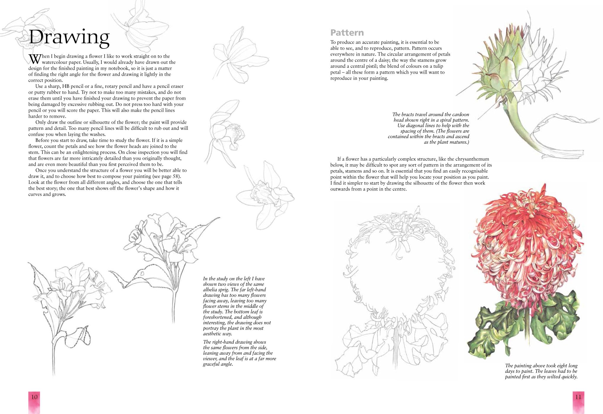 Watercolour Flower Portraits