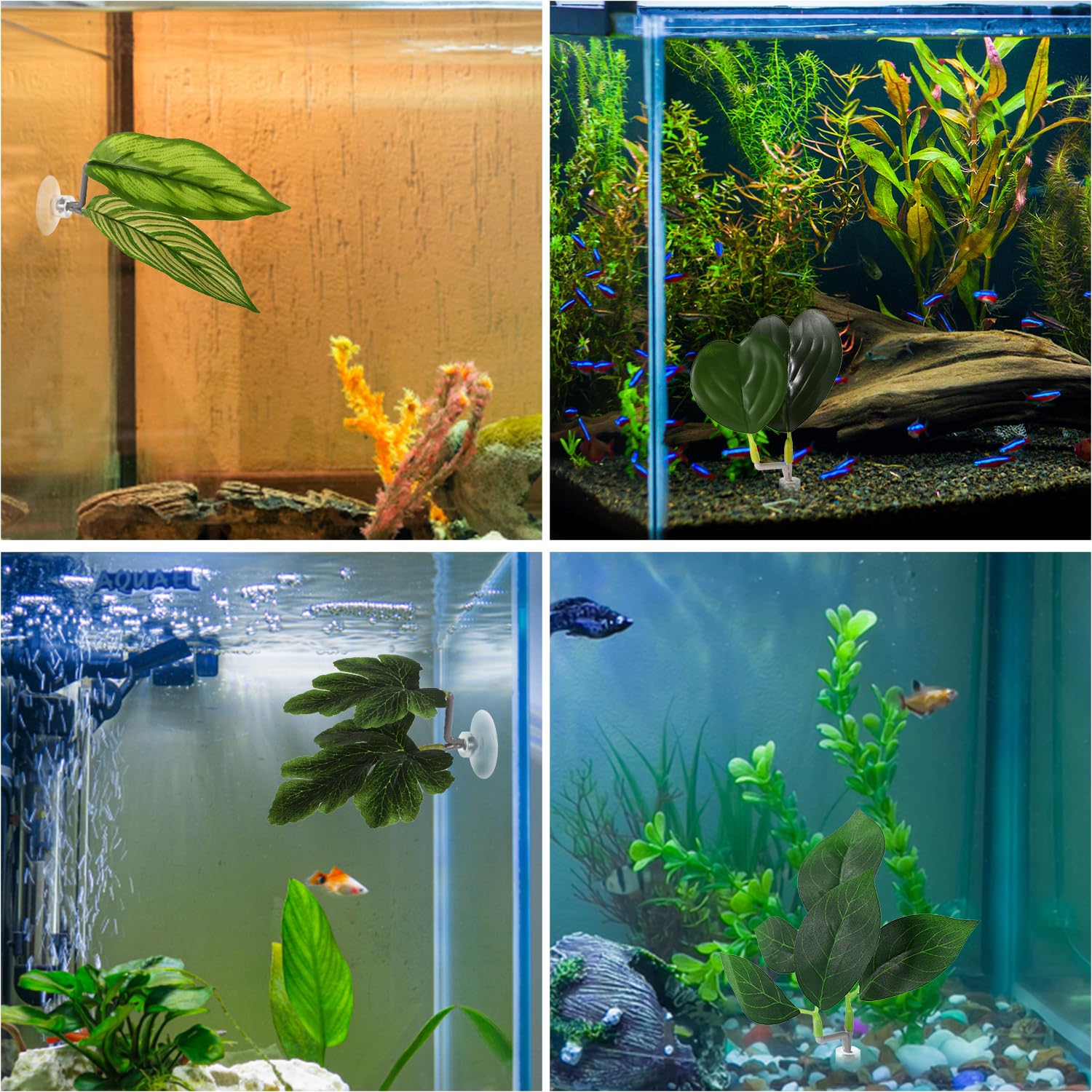 Lyreh 4pcs Feuilles Betta, 4 Styles Feuille Repos Betta avec Ventouse Accessoires Décoration Aquarium pour Simuler Les Habitats Naturels(Vert)