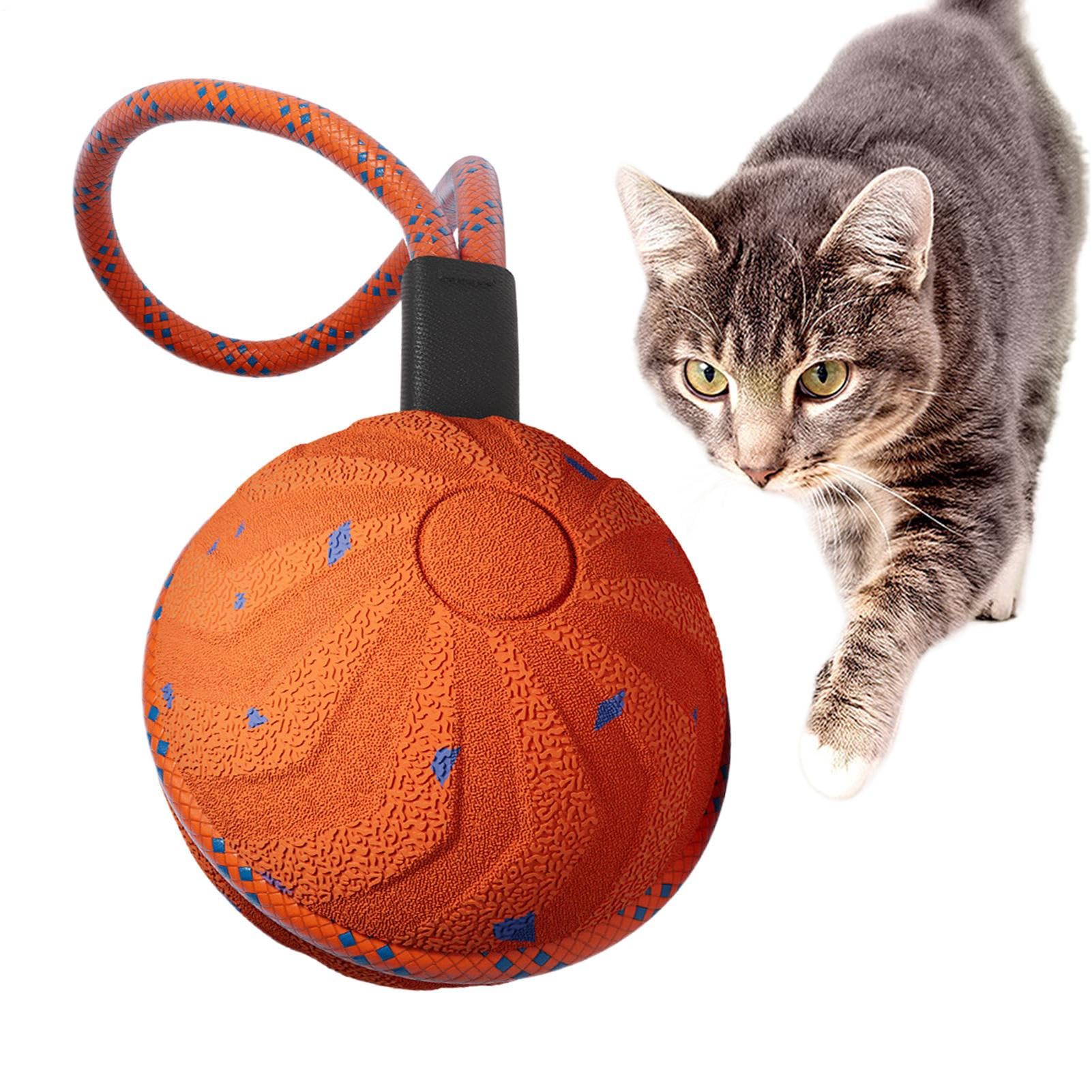 Balle interactive pour chiens automatique : jouet de stimulation pour chiots et grands chiens