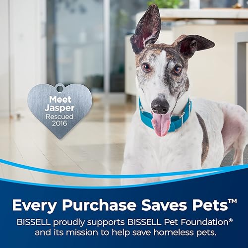 Miniatura 7 de Bissell SurfaceSense Allergen Lift-Off Pet Aspiradora vertical, con rodillo de cepillo multisuperficie sin enredos, faros LED y tecnología Lift-Off