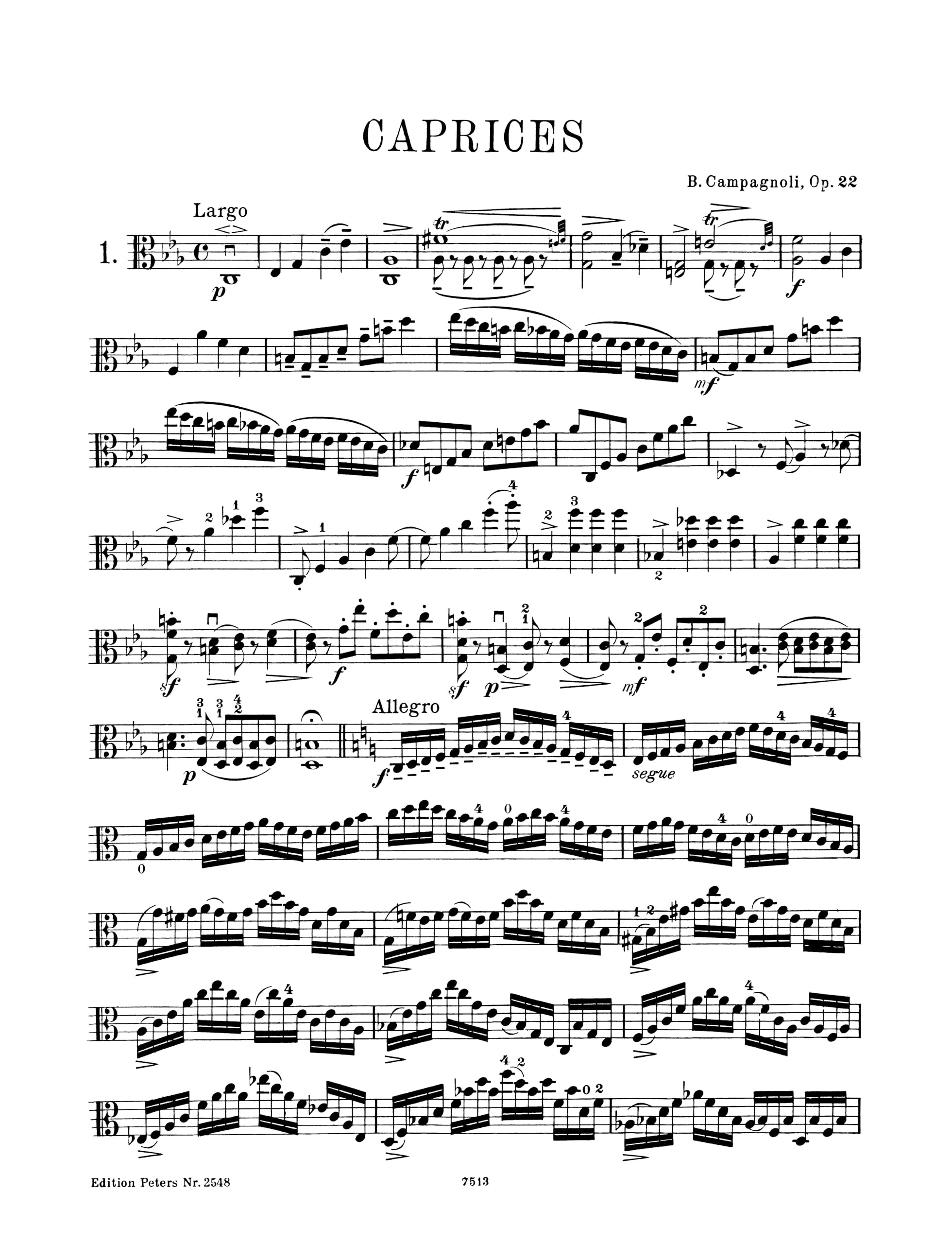 41 Caprices Op. 22 for Viola