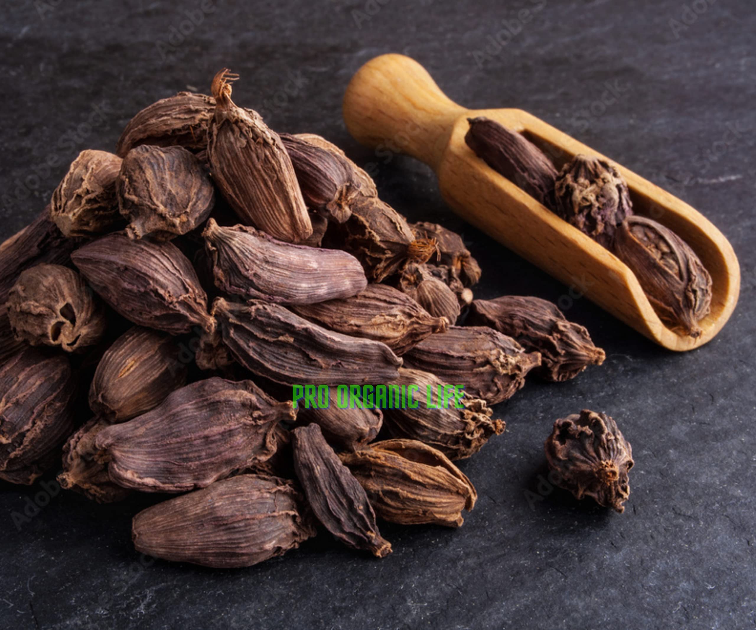 Pro Organic Life Whole black cardamom, organic black cardamom pods, kali moti elaichi large cardamom 50 grm (B094VRKG72) Amazon Price History, Amazon Price Tracker