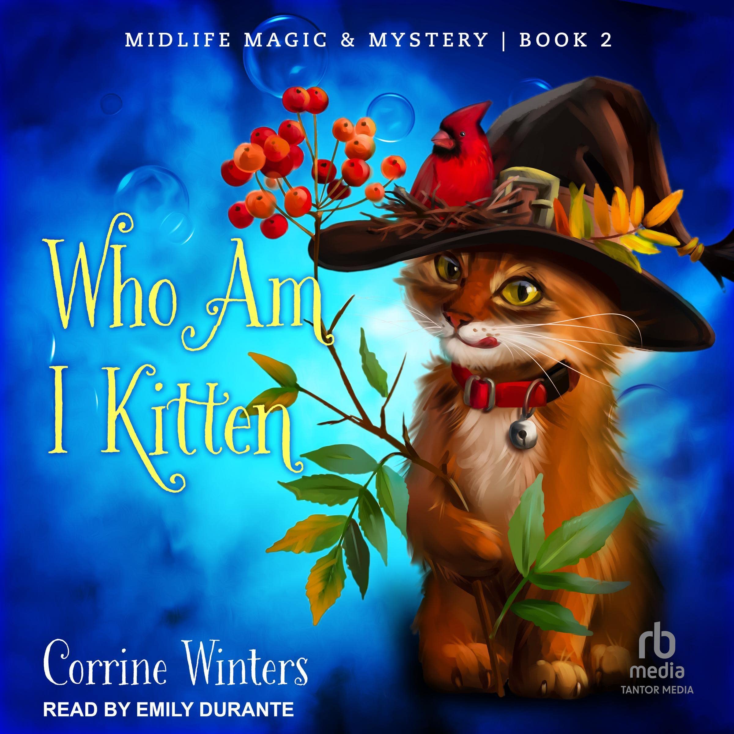 Cover art for Who Am I Kitten